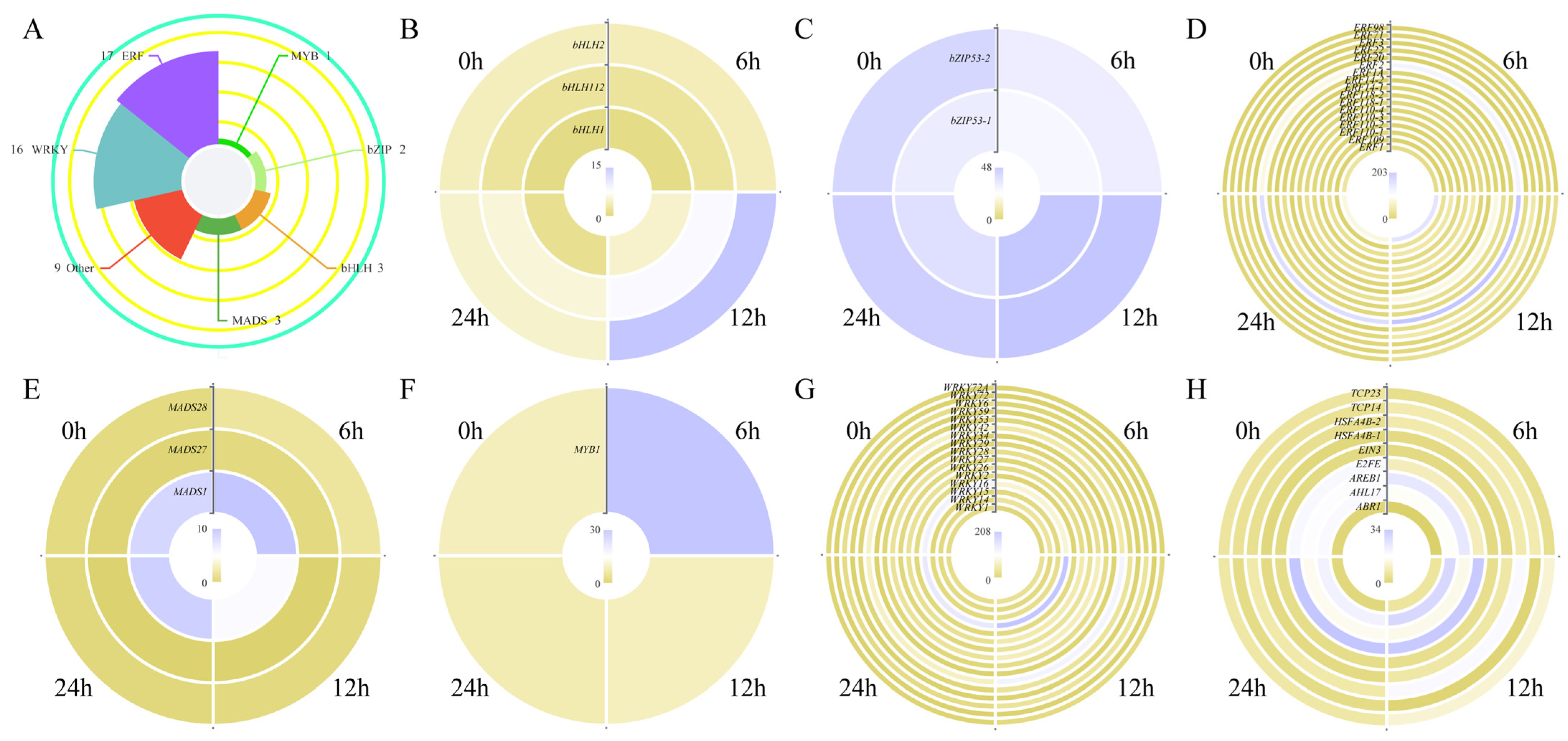 Plants 13 01487 g008