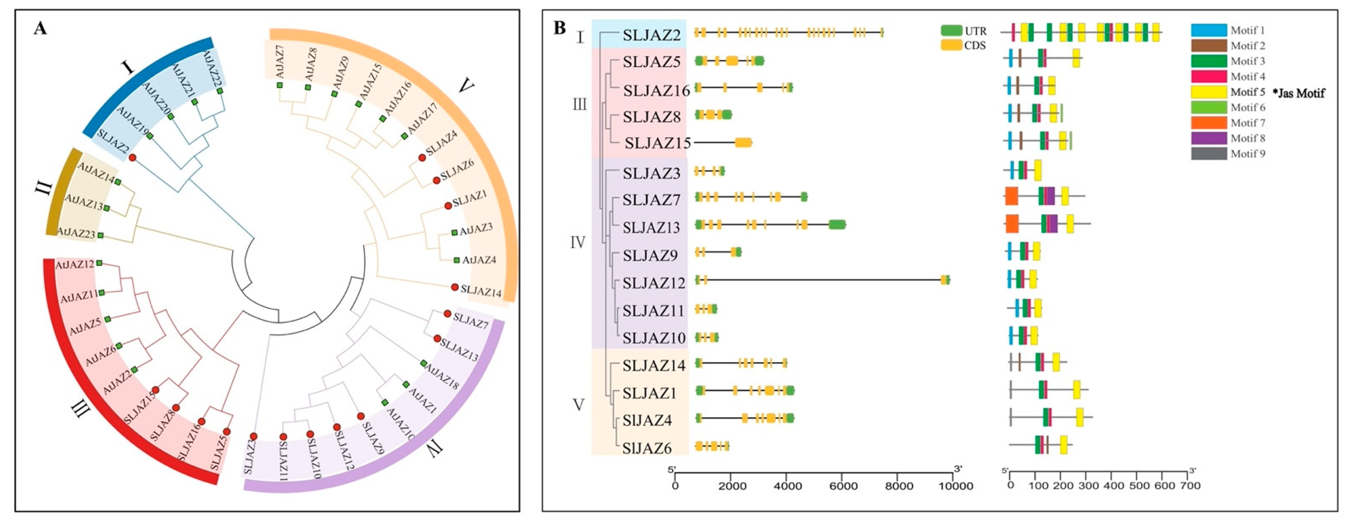 Plants 13 01493 g002