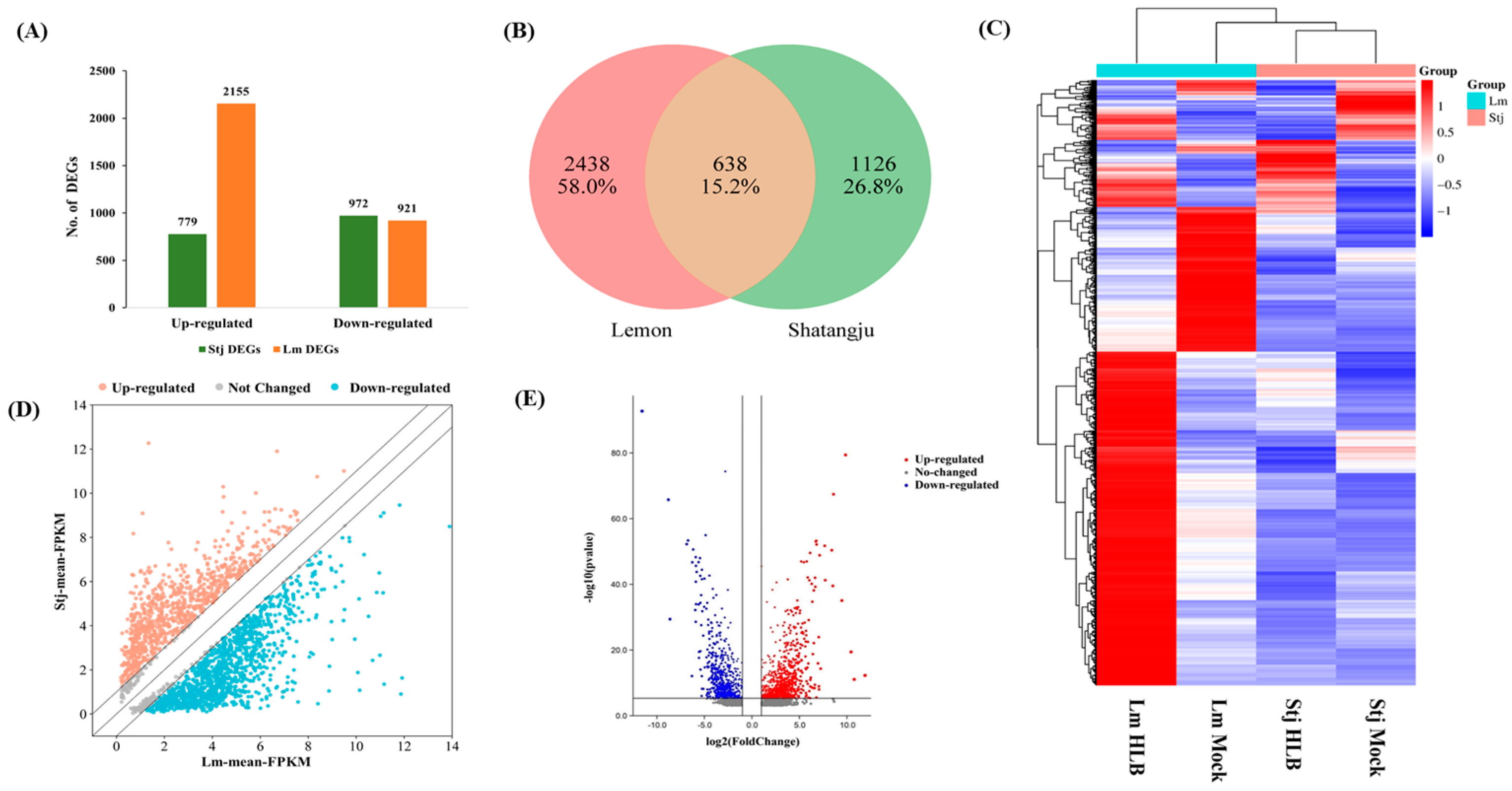 Plants 13 01496 g002