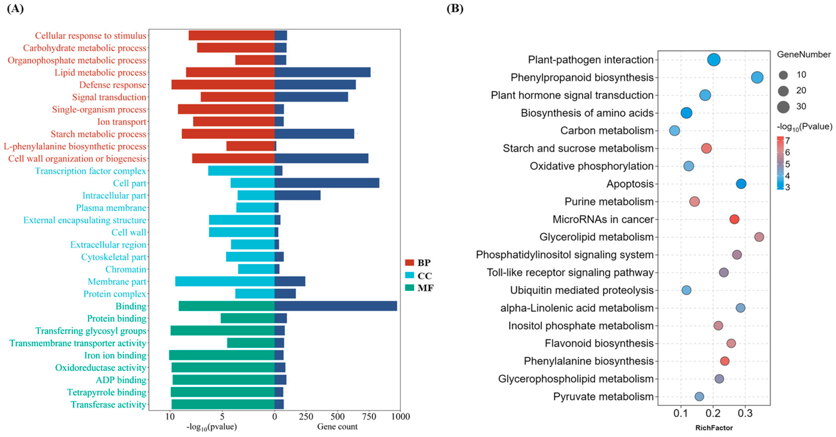 Plants 13 01496 g003
