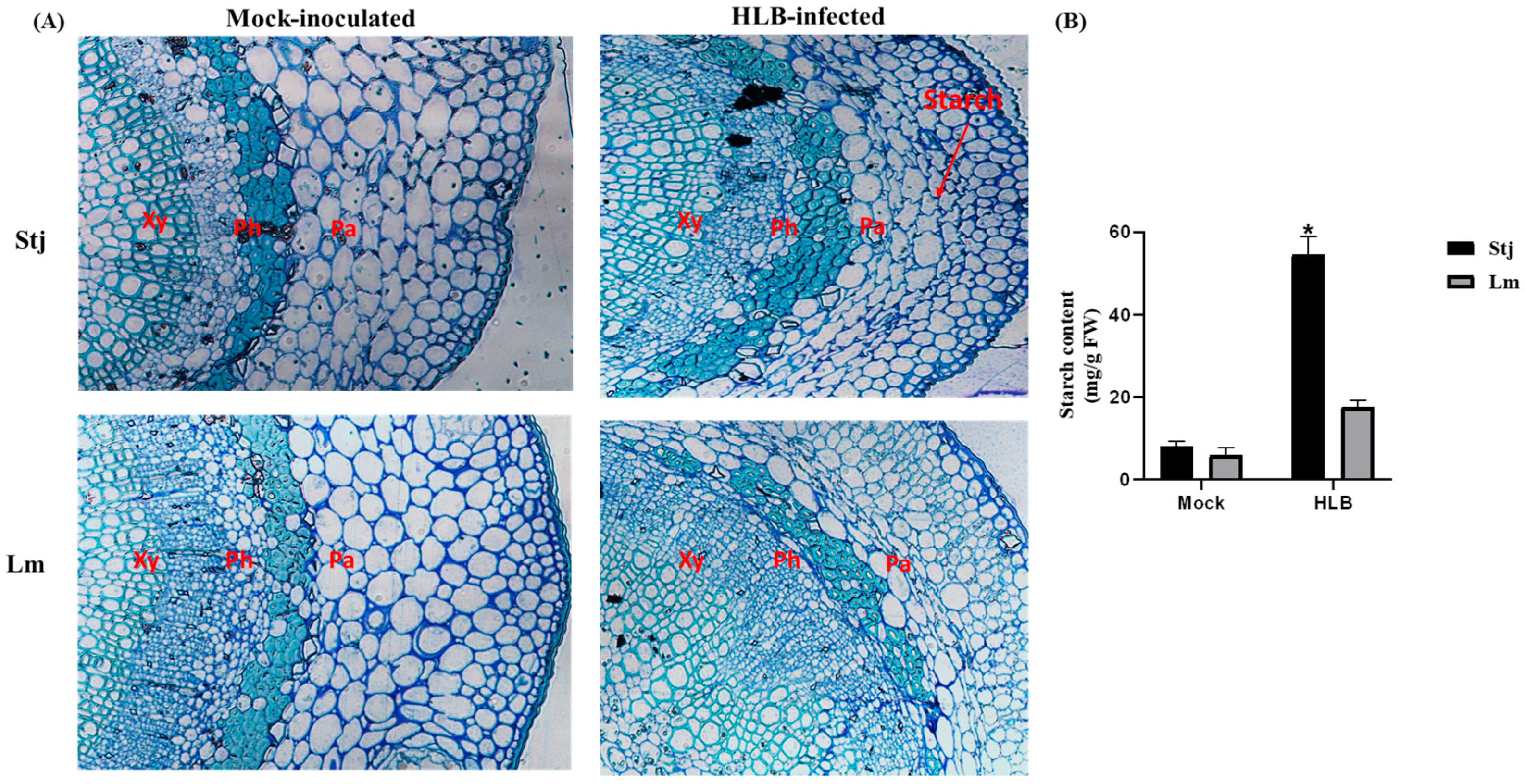 Plants 13 01496 g005