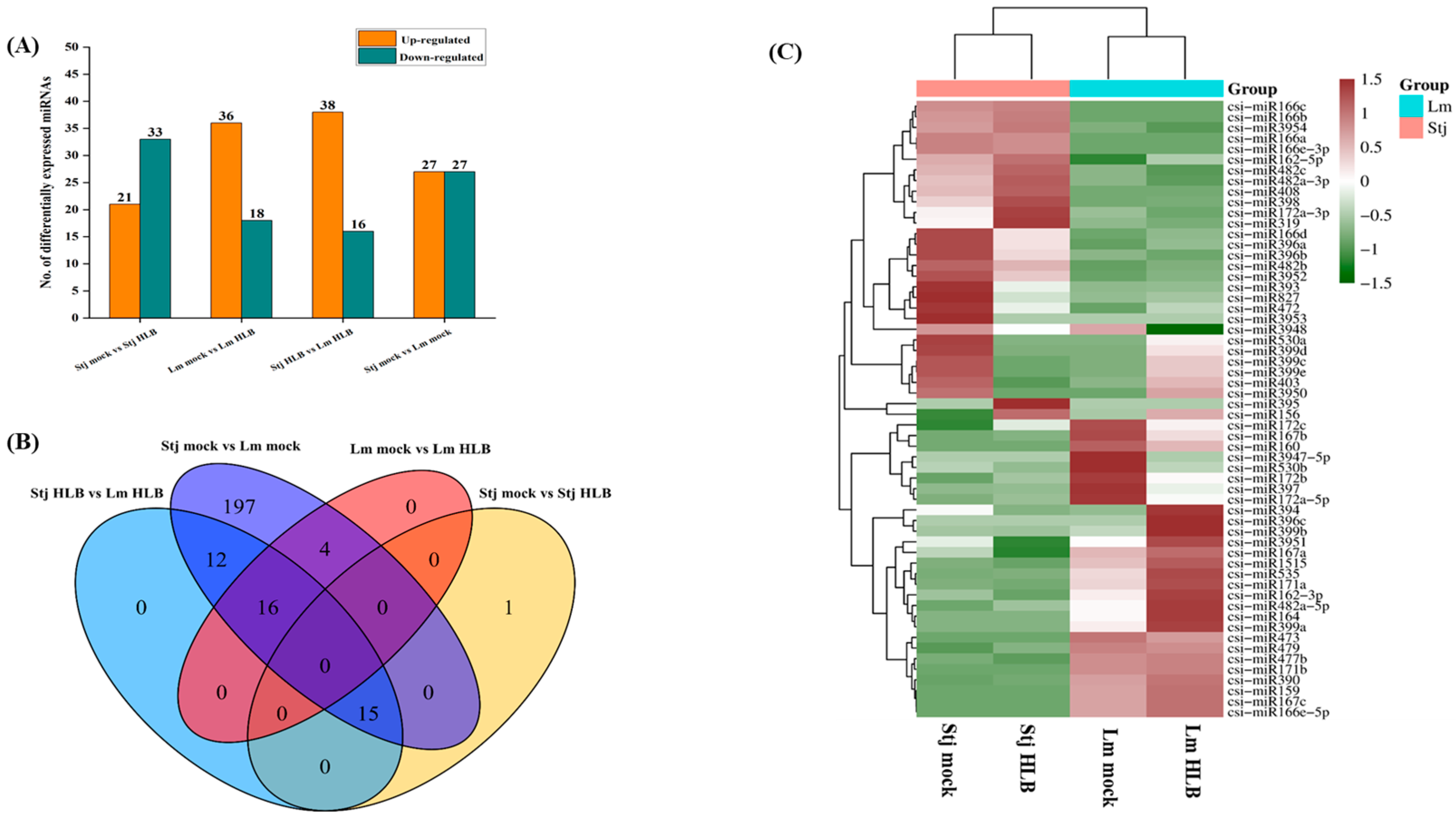 Plants 13 01496 g007