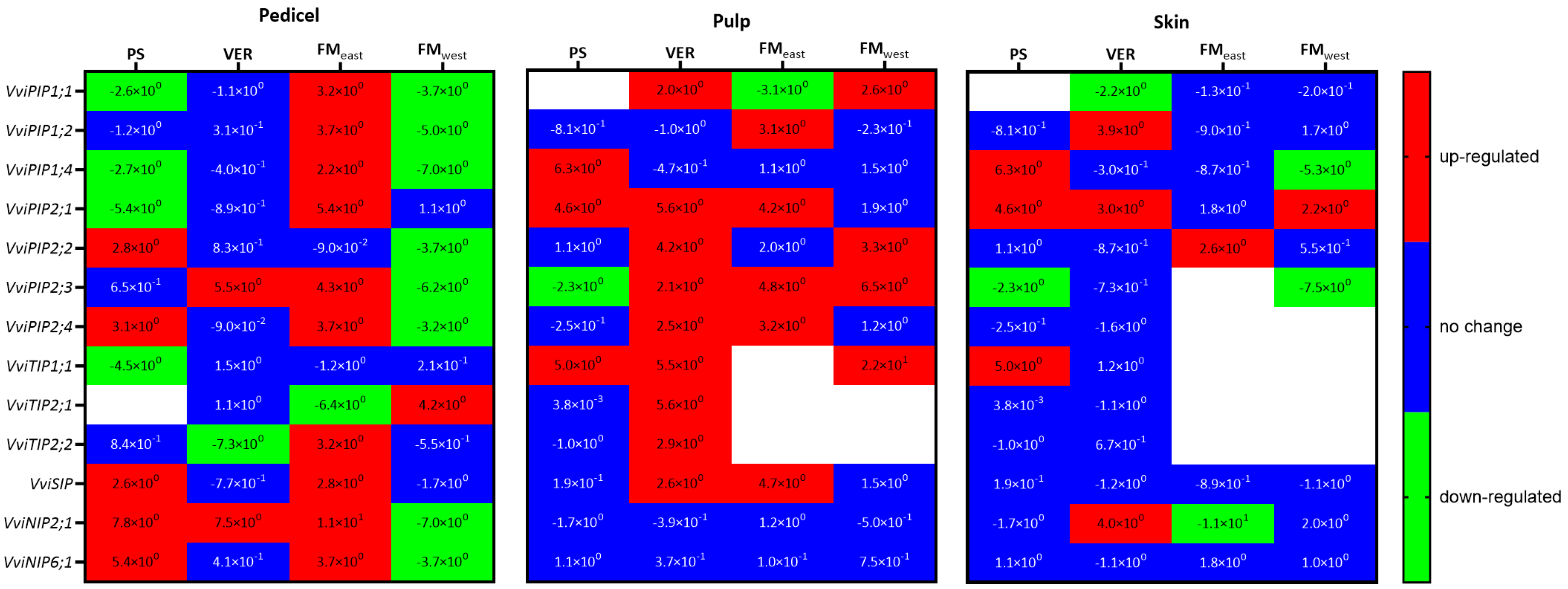 Plants 13 01500 g006