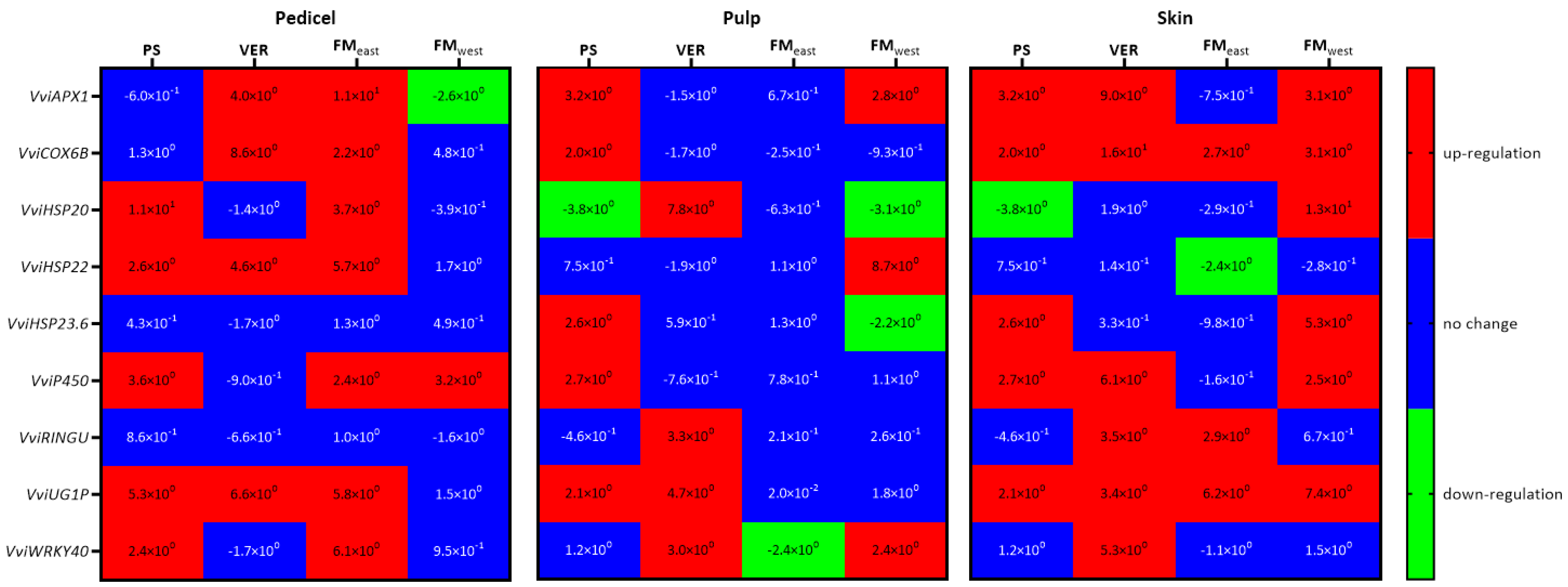 Plants 13 01500 g007
