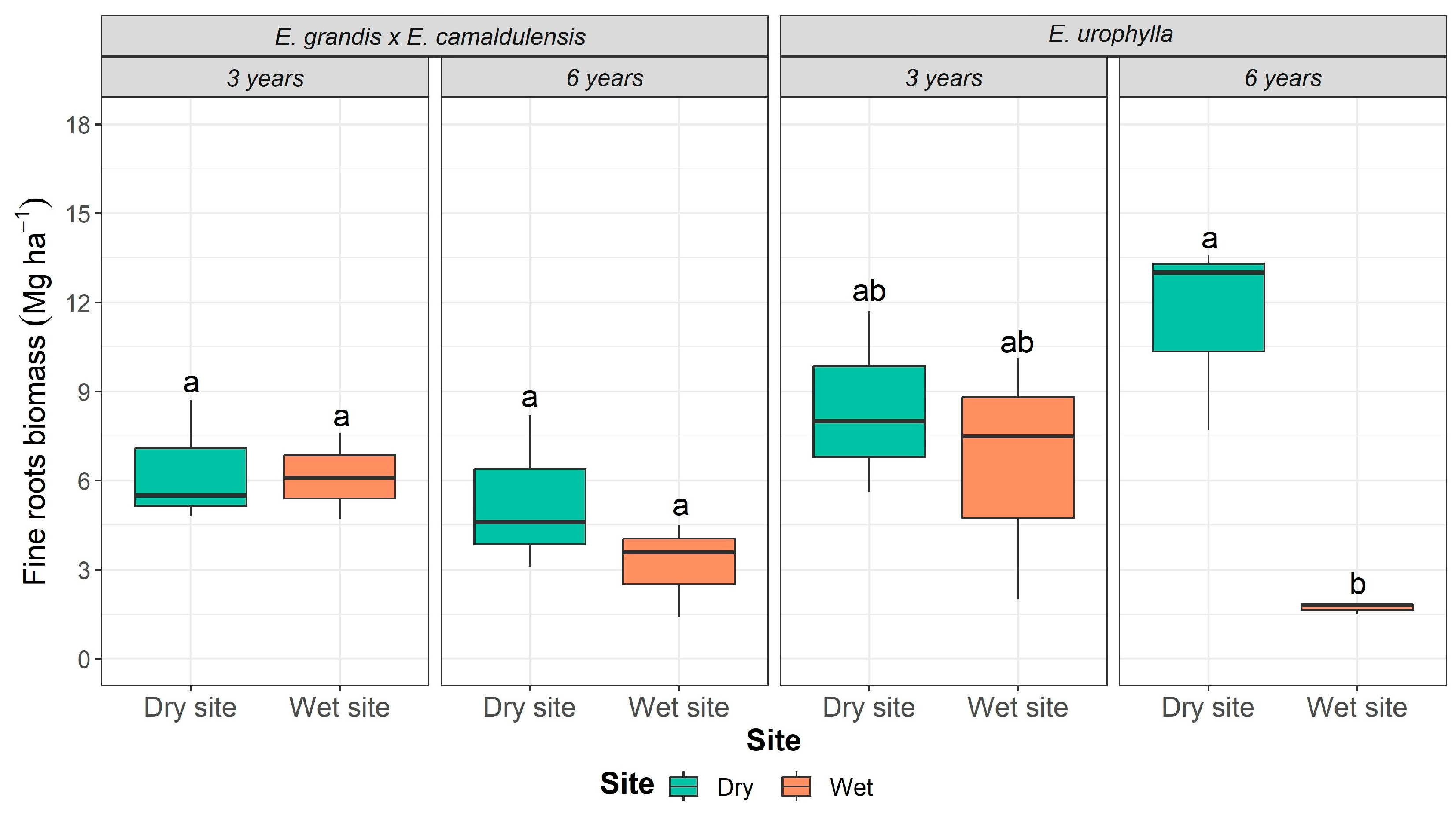 Plants 13 01503 g001