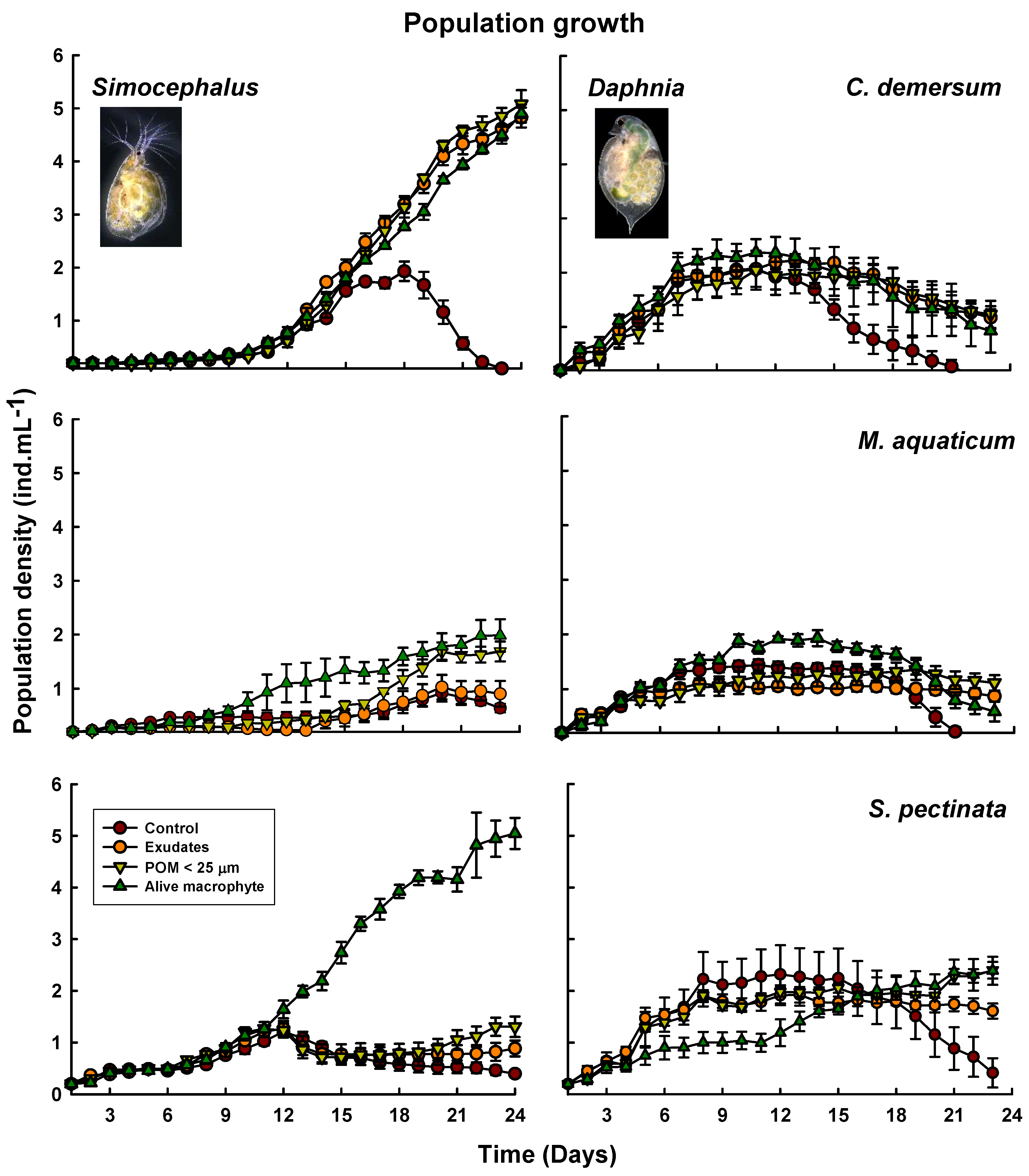 Plants 13 01504 g001