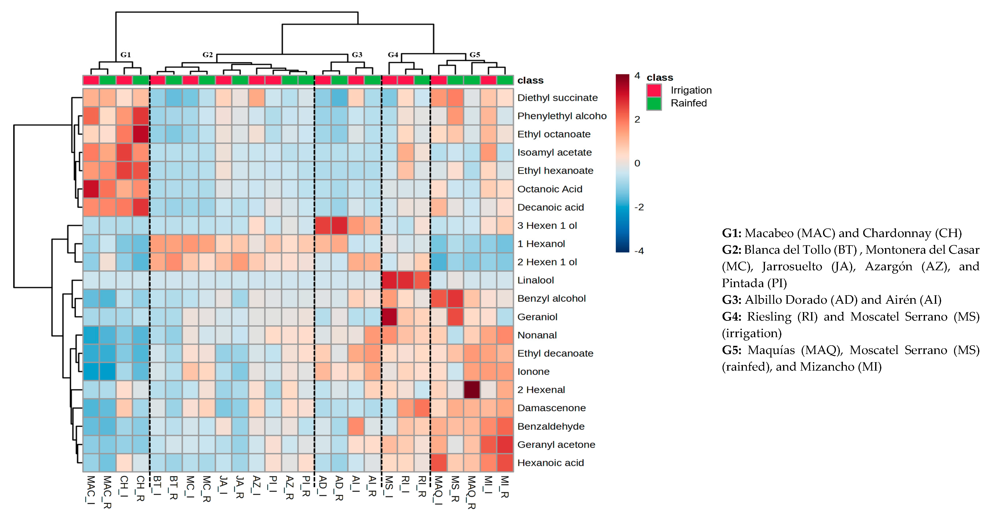 Plants 13 01507 g001