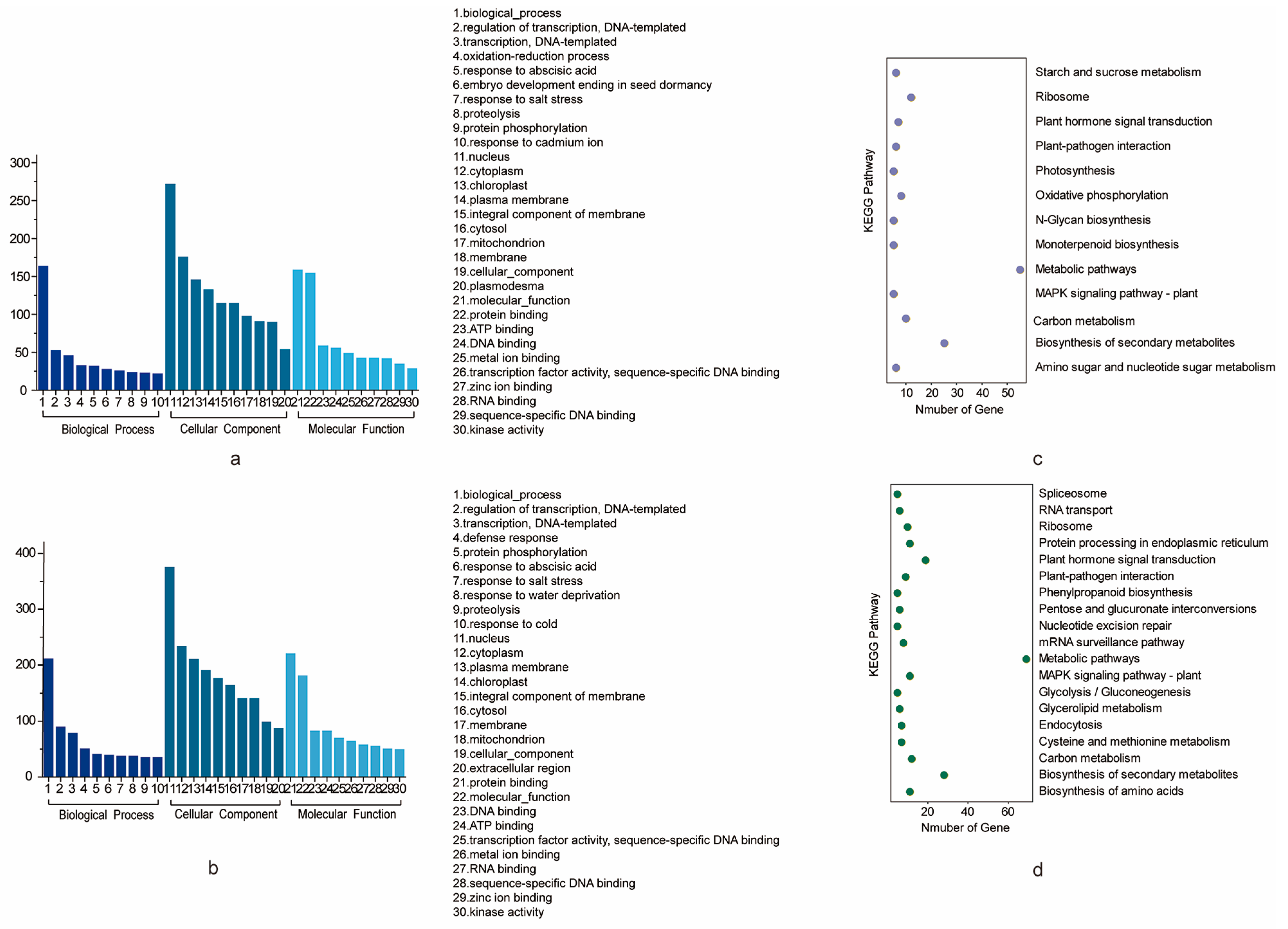 Plants 13 01509 g004