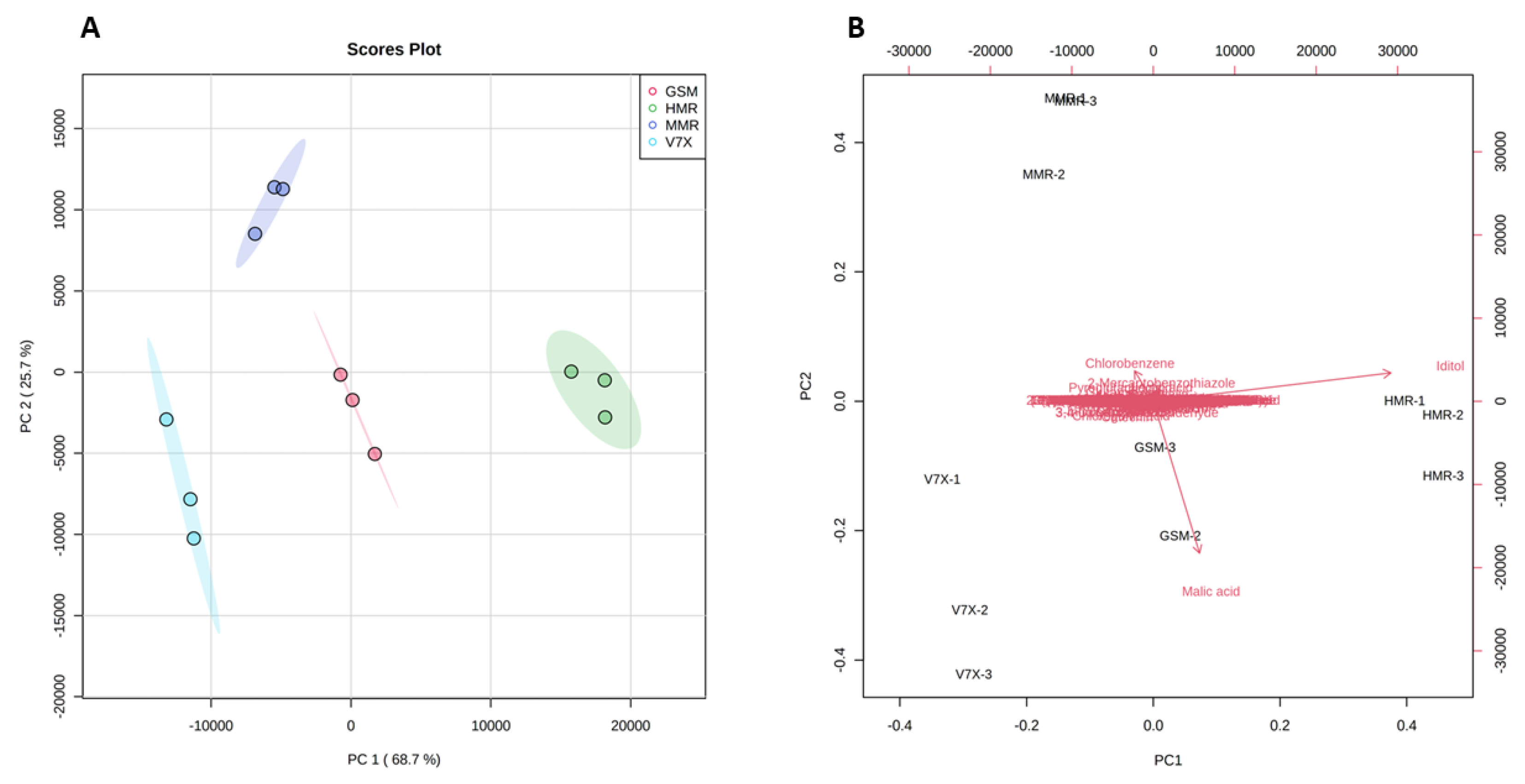 Plants 13 01511 g004