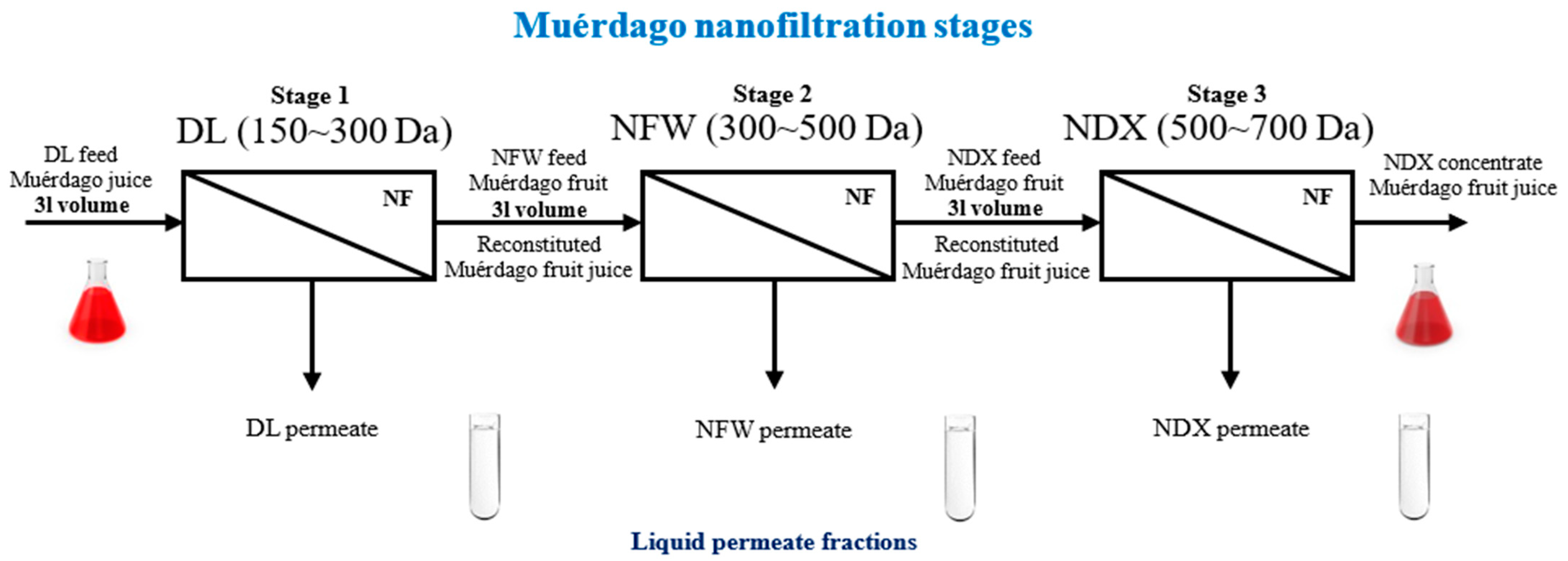 Plants 13 01521 g002