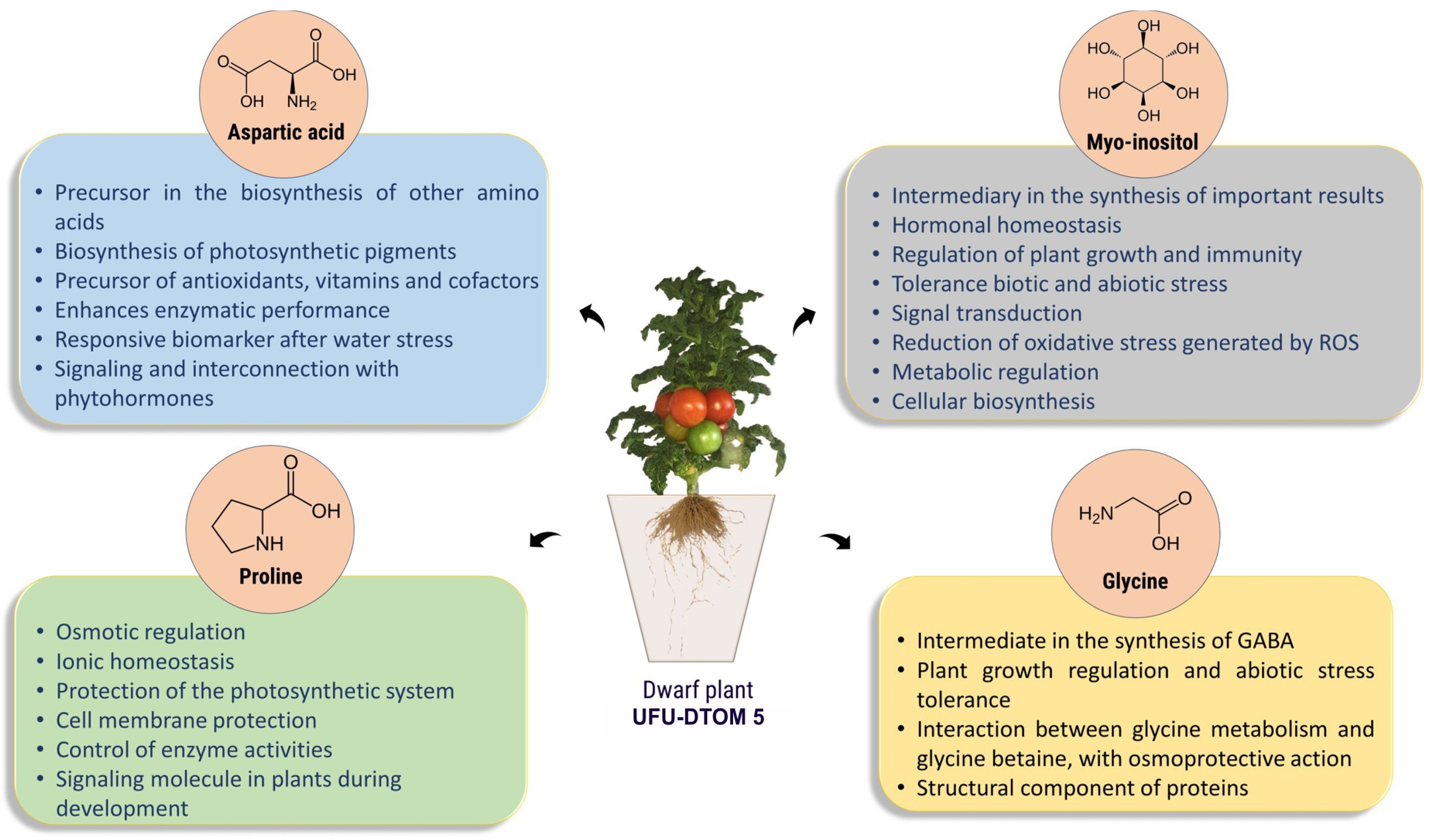 Plants 13 01522 g006