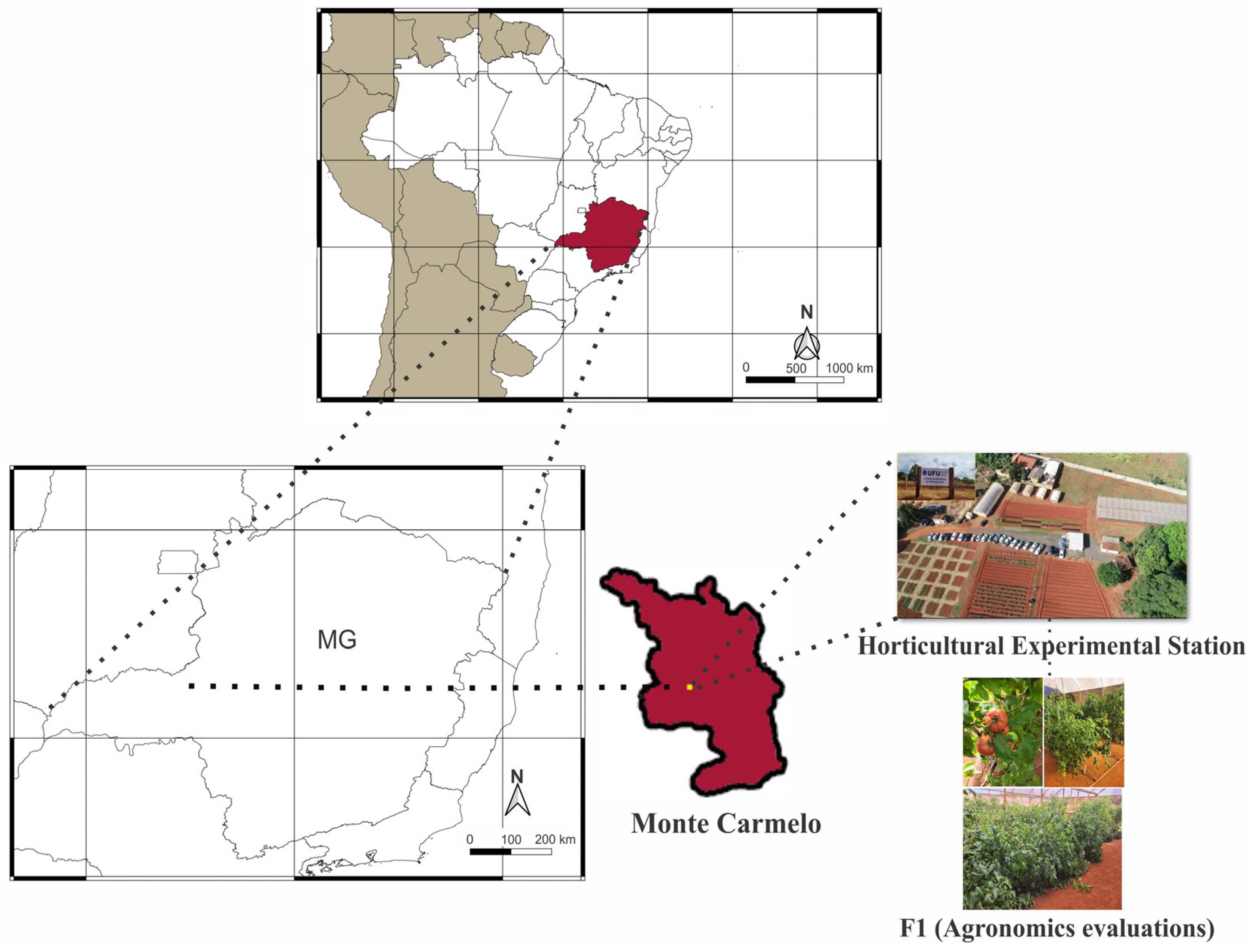 Plants 13 01522 g007