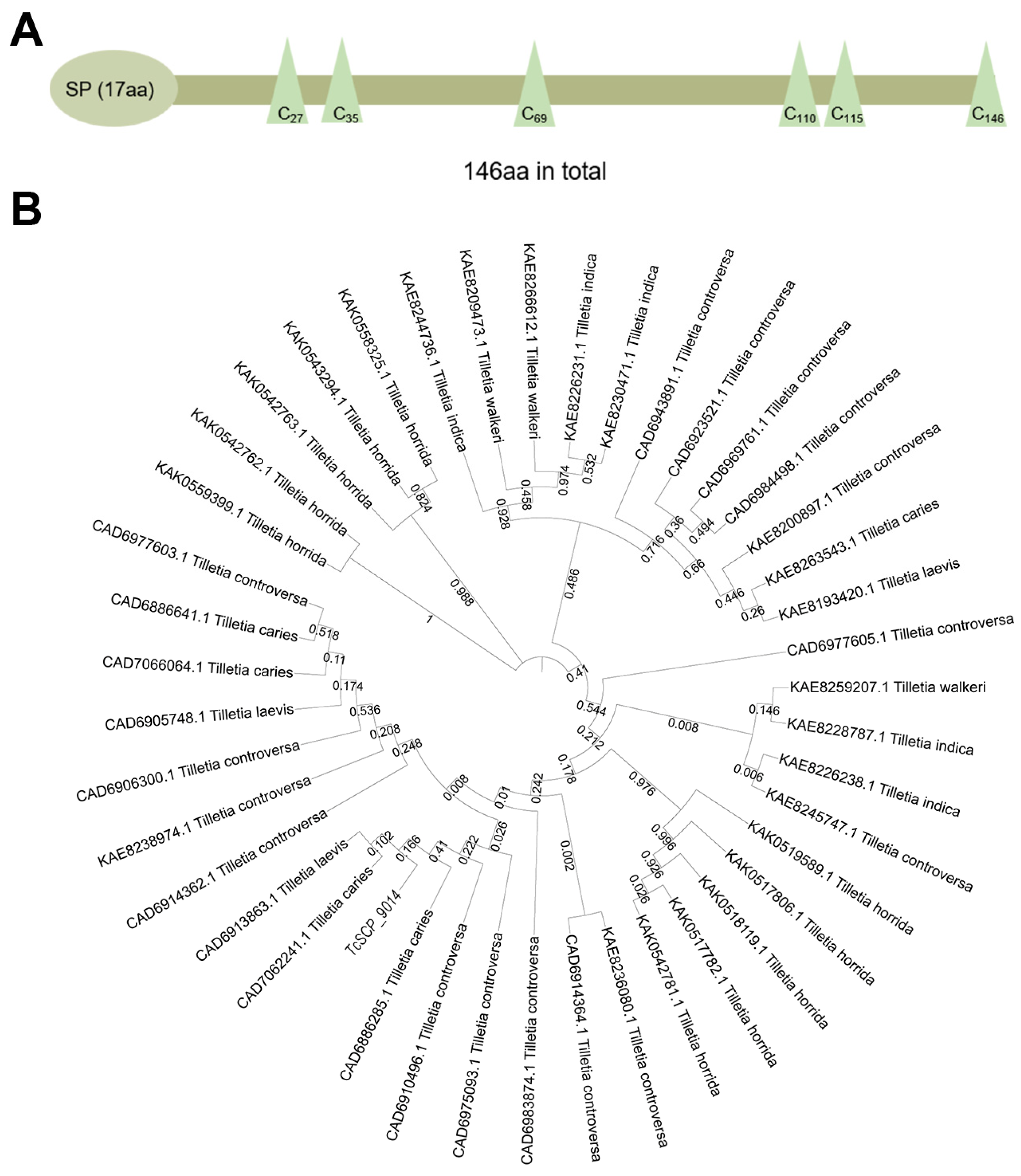 Plants 13 01523 g001