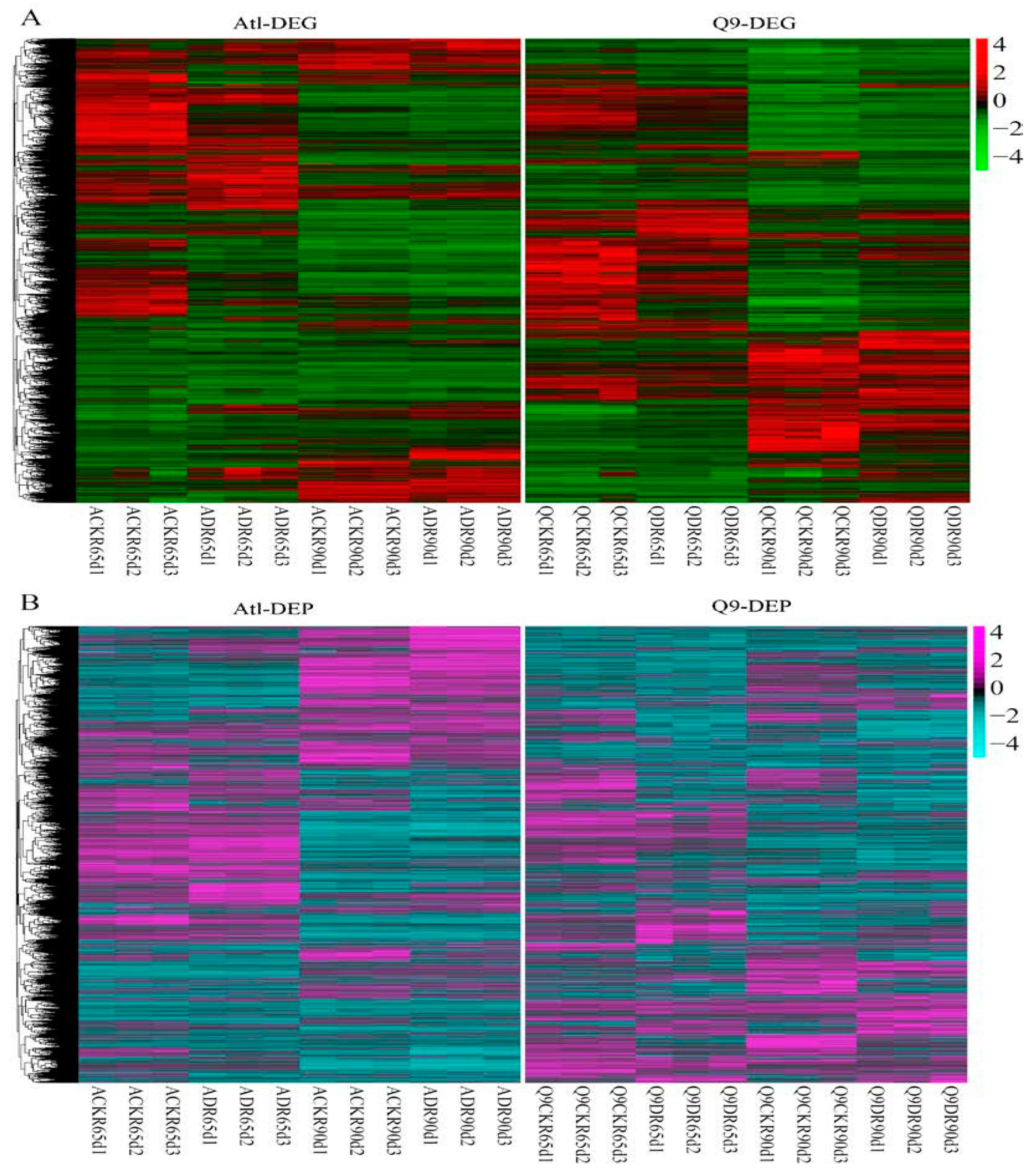 Plants 13 01530 g002