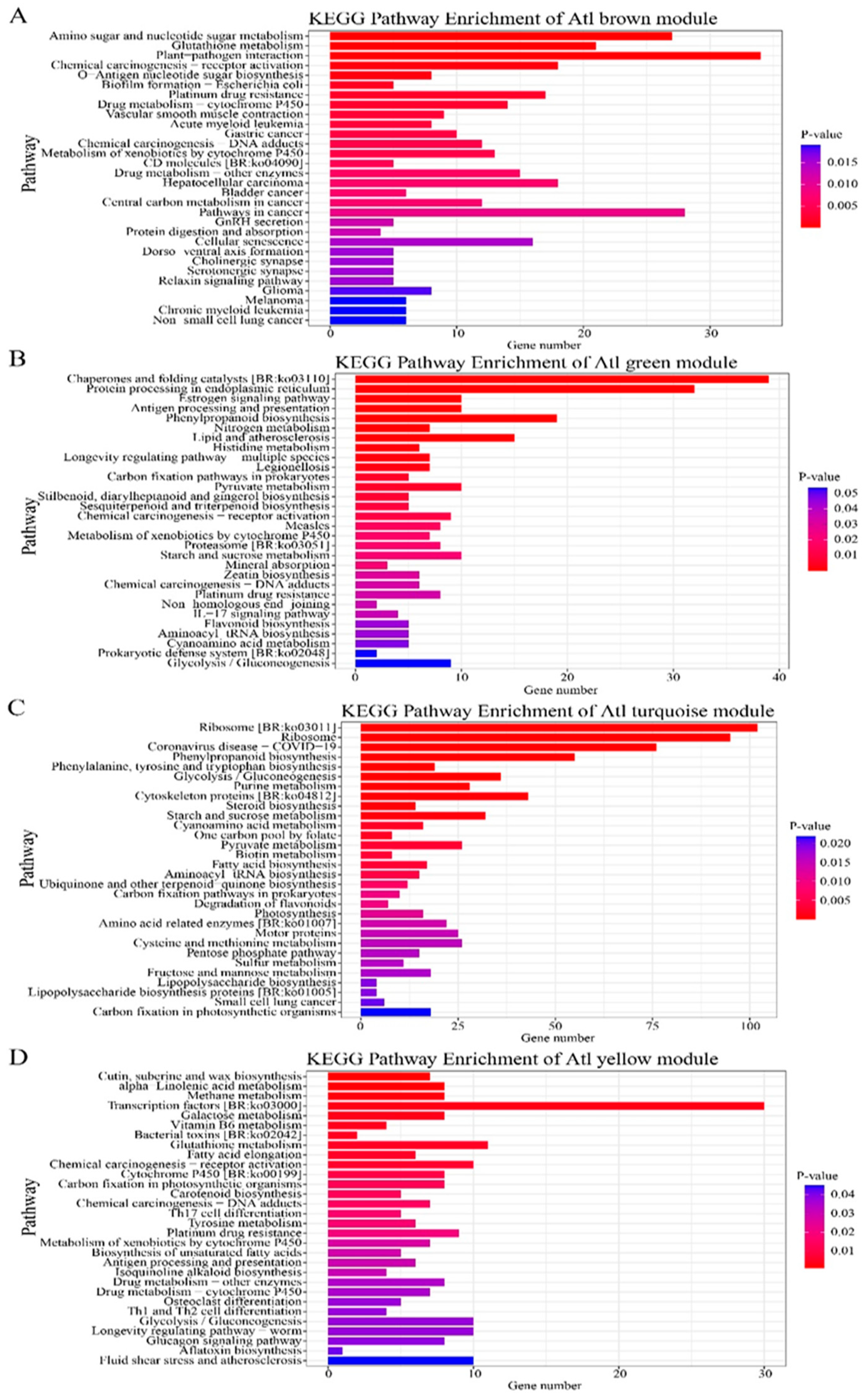 Plants 13 01530 g005a