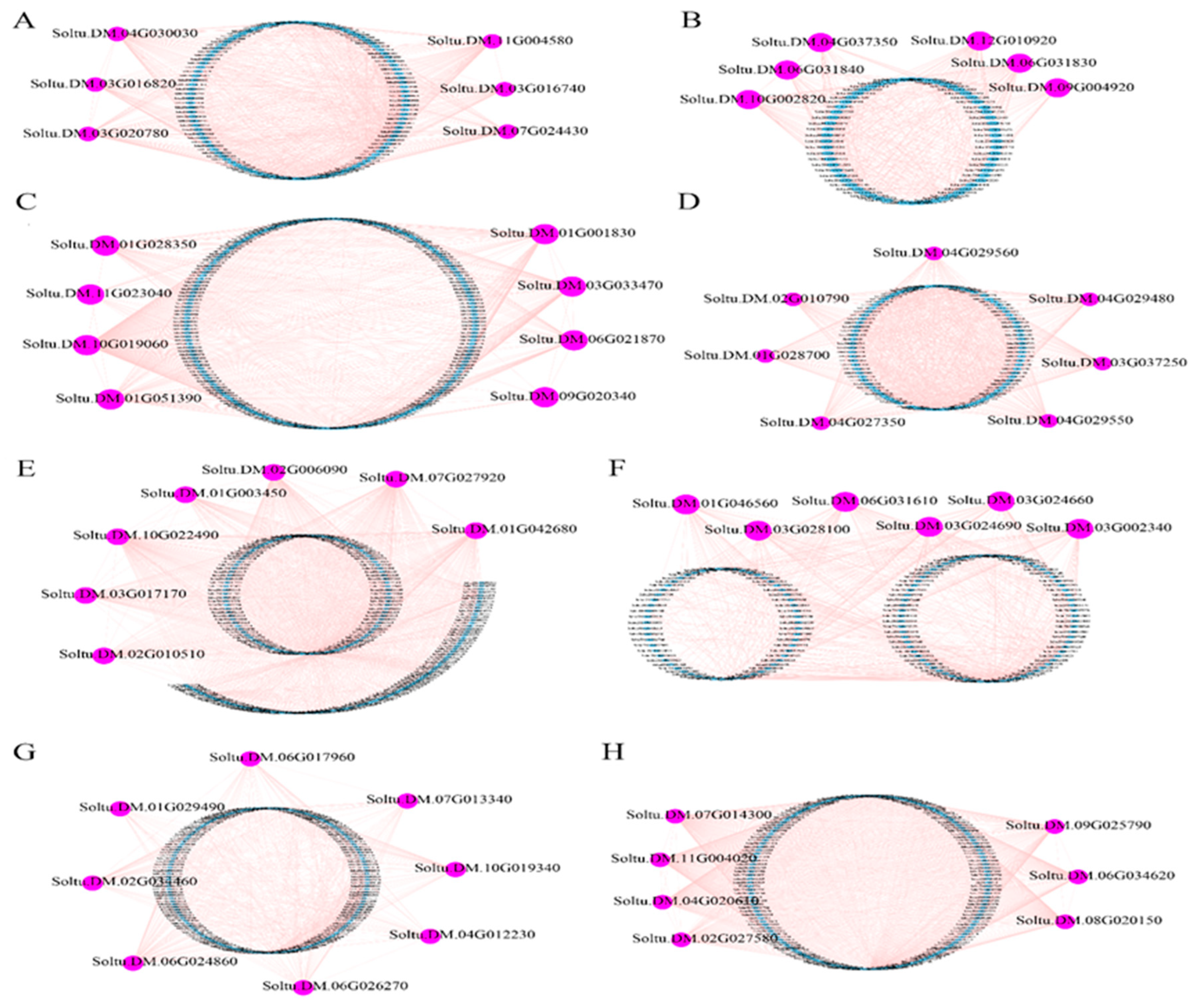 Plants 13 01530 g006