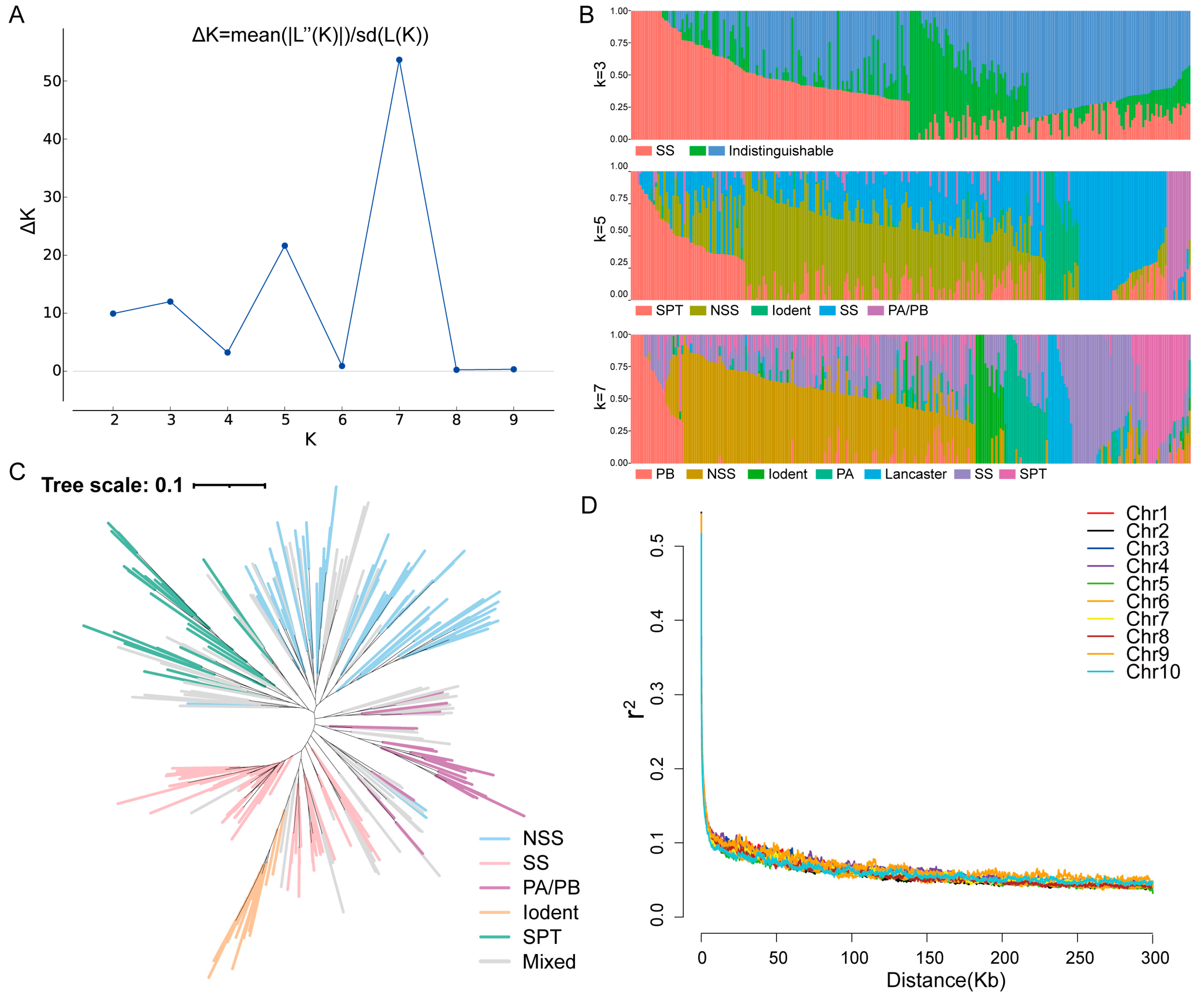 Plants 13 01533 g001
