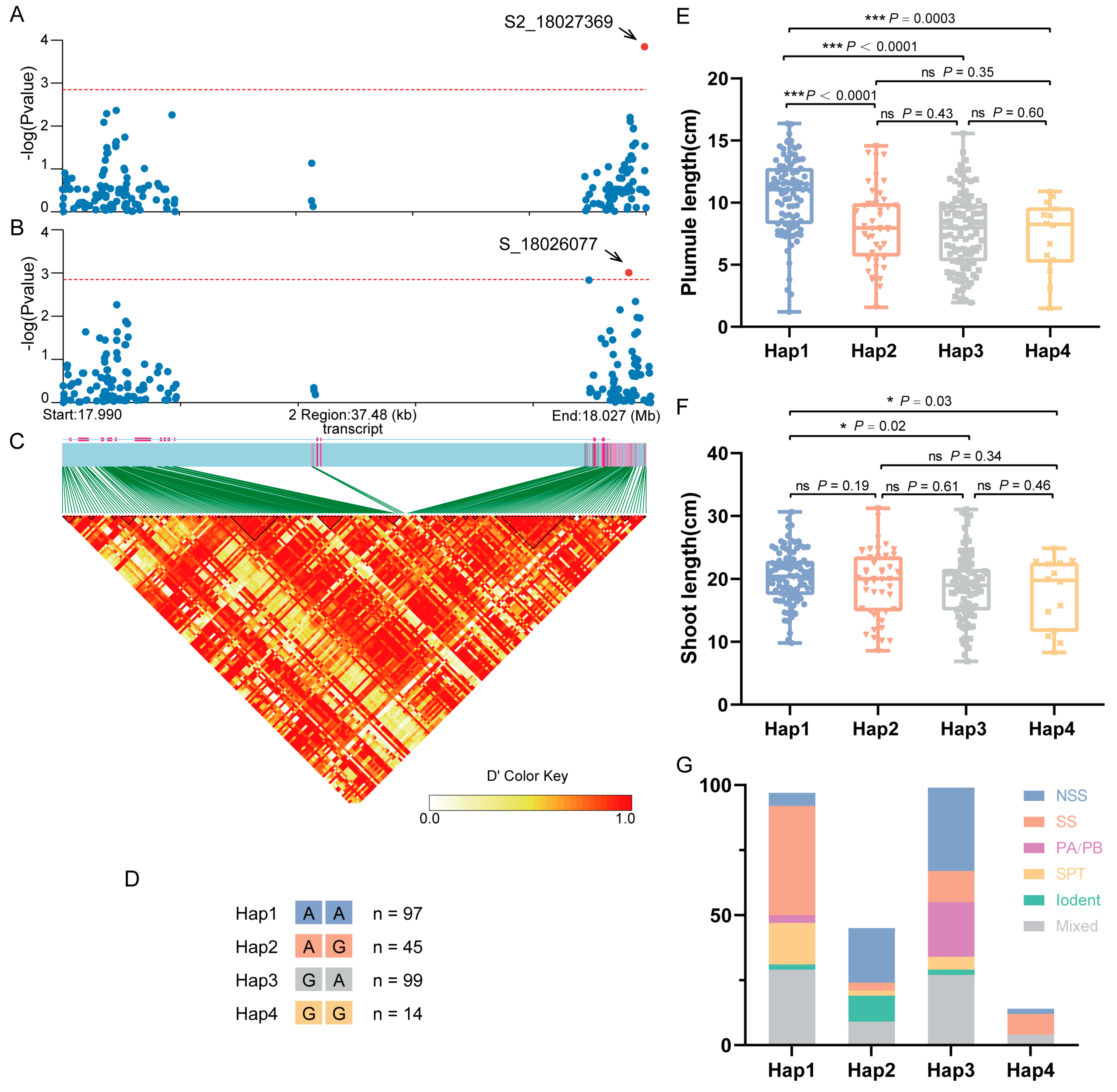 Plants 13 01533 g005