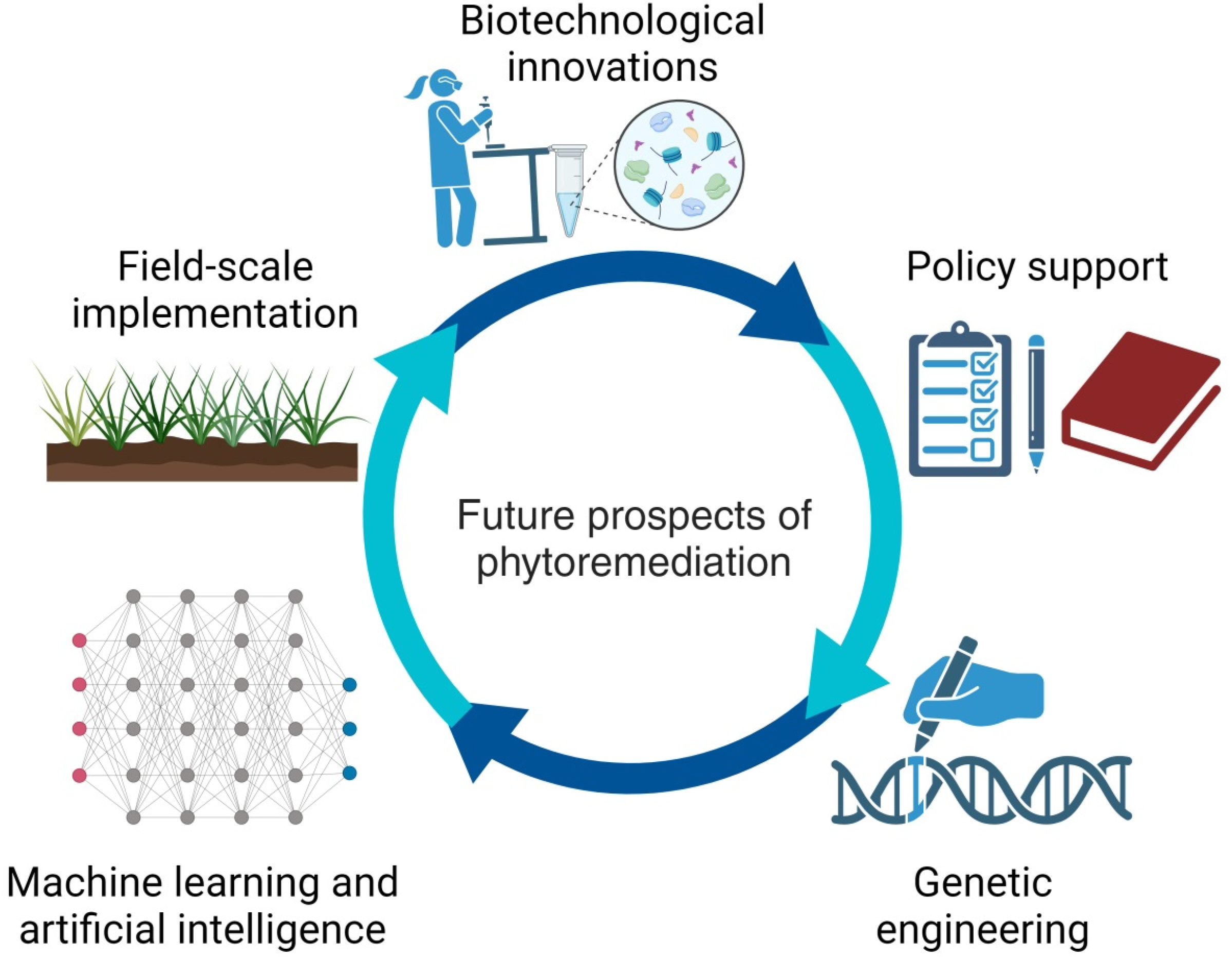 Plants 13 01534 g004