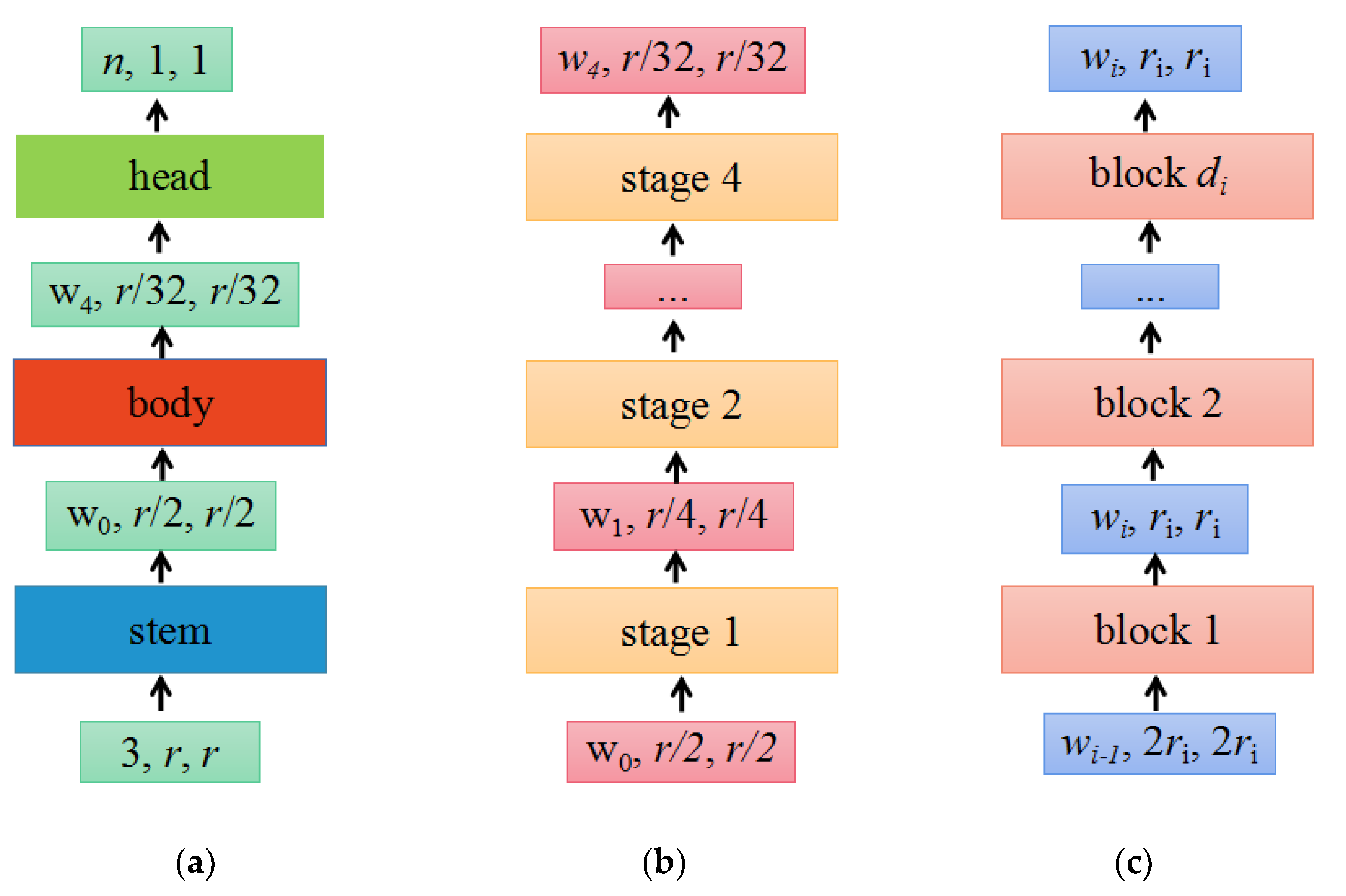 Plants 13 01535 g003