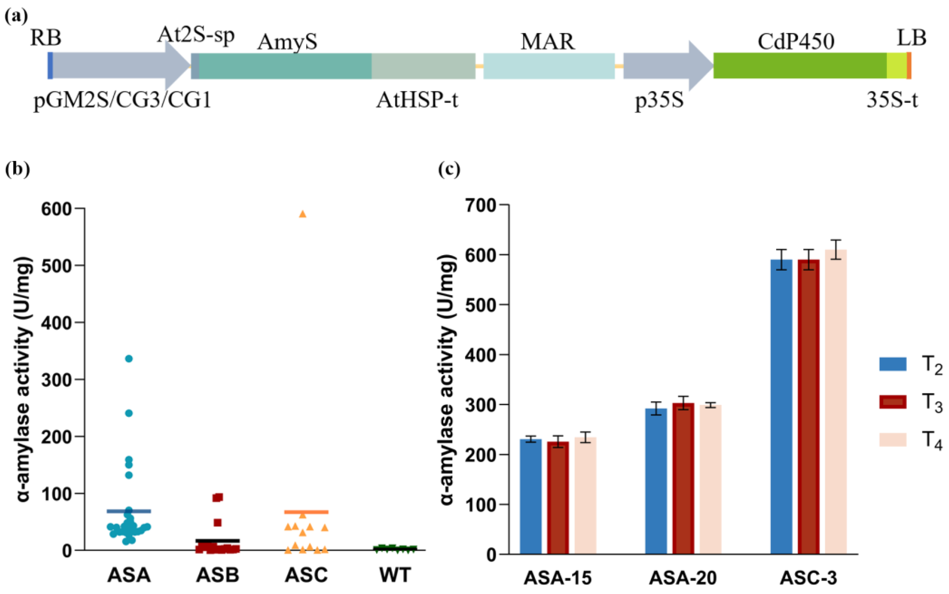 Plants 13 01539 g001
