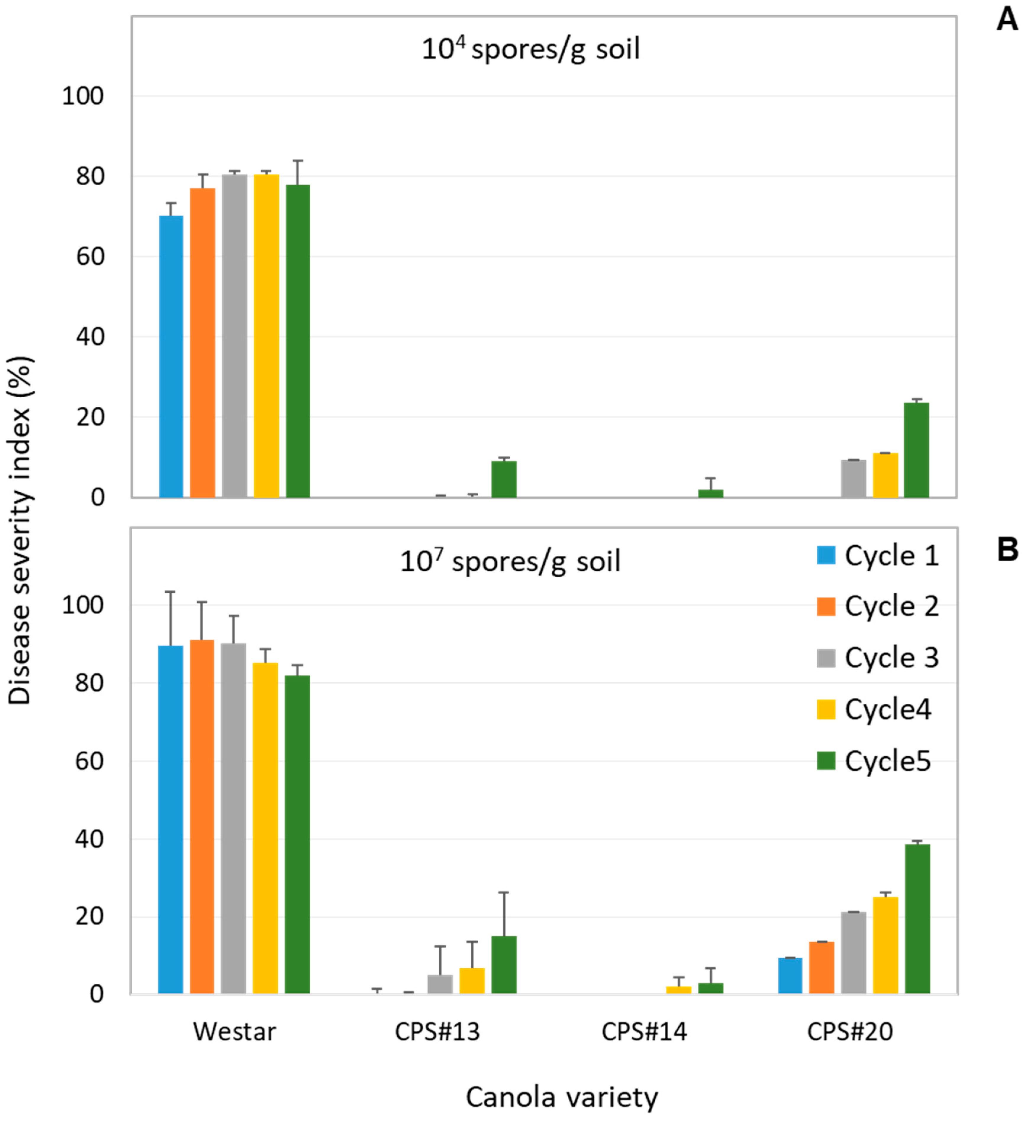 Plants 13 01540 g001