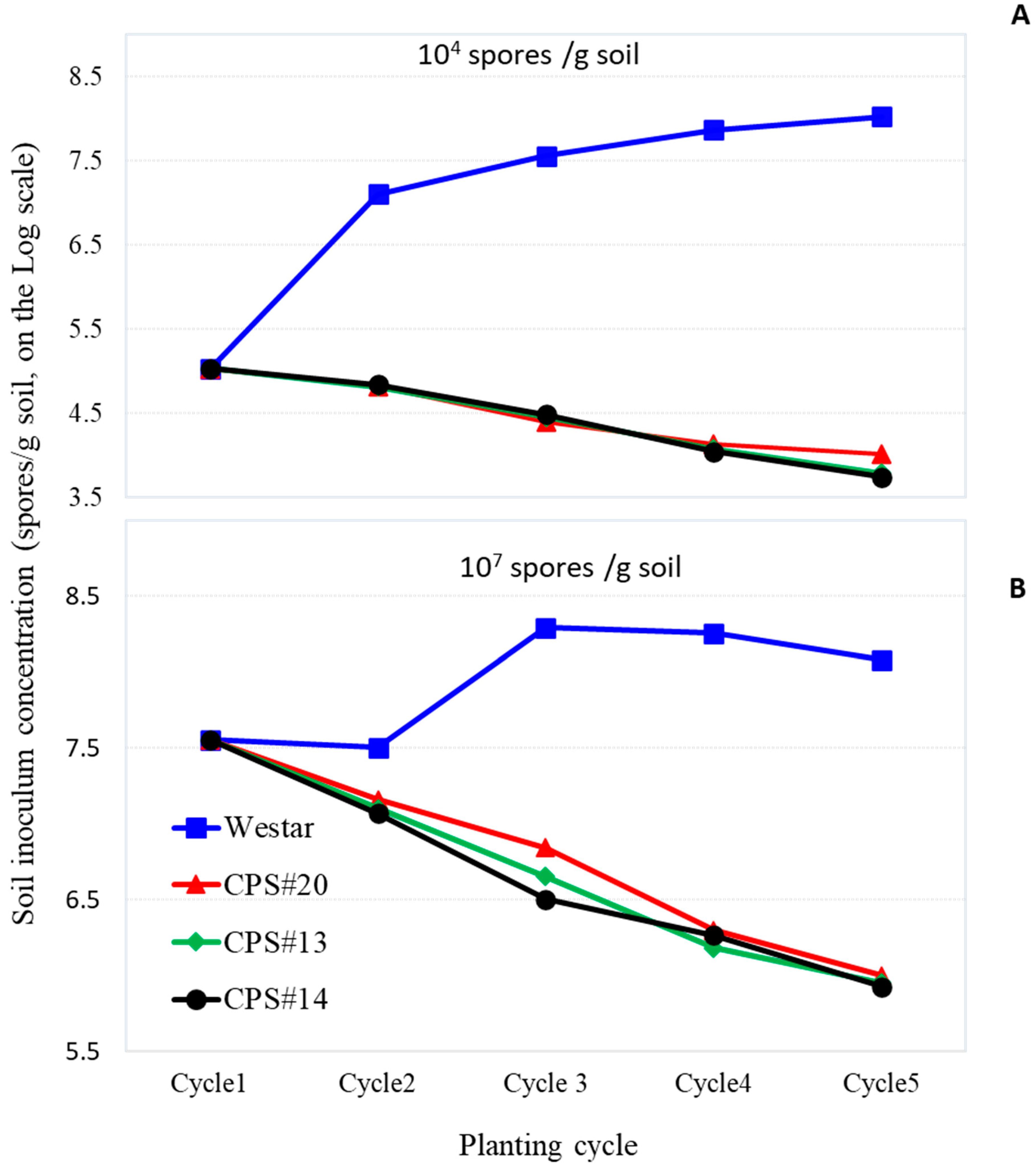 Plants 13 01540 g002