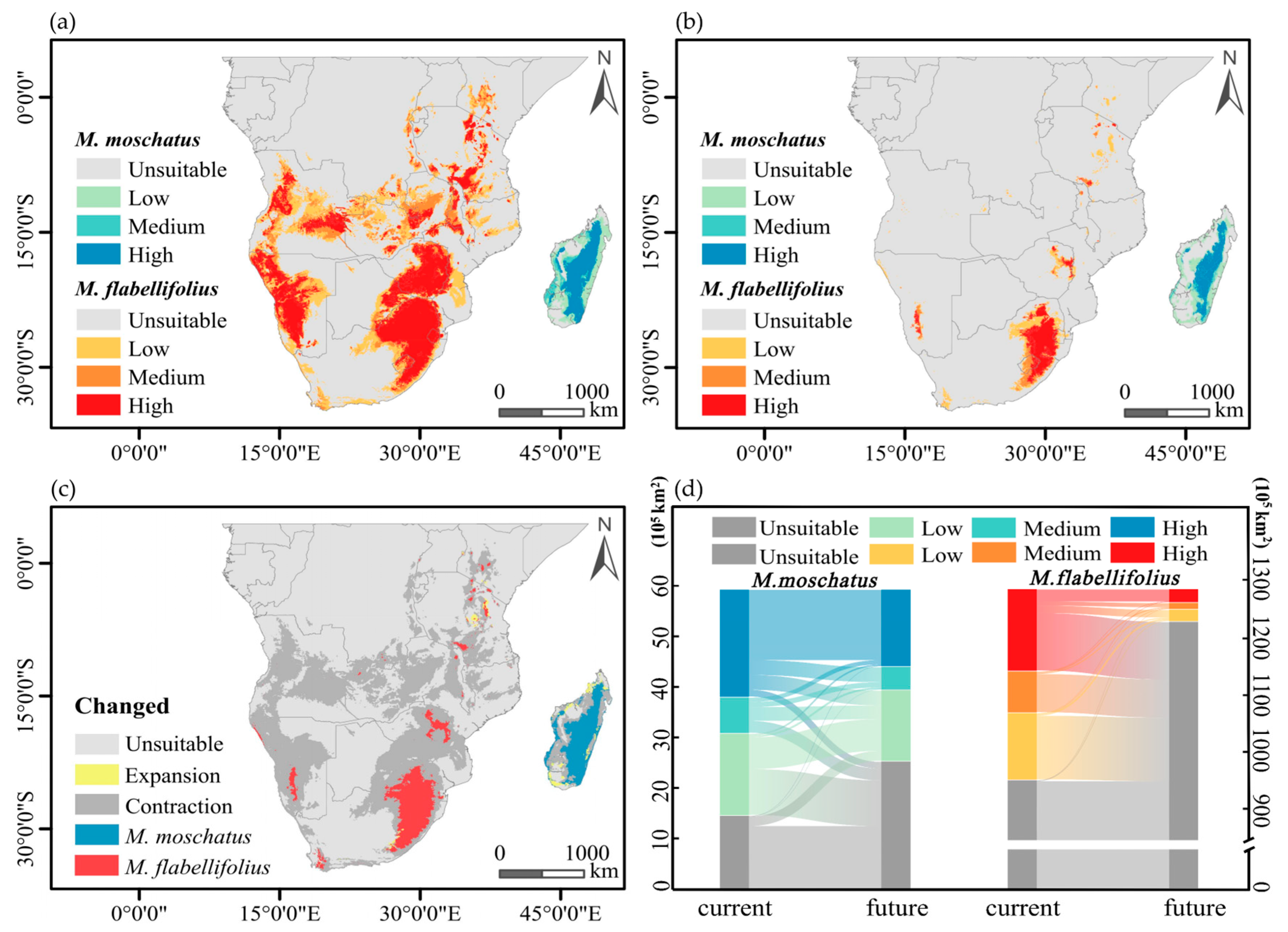 Plants 13 01544 g005