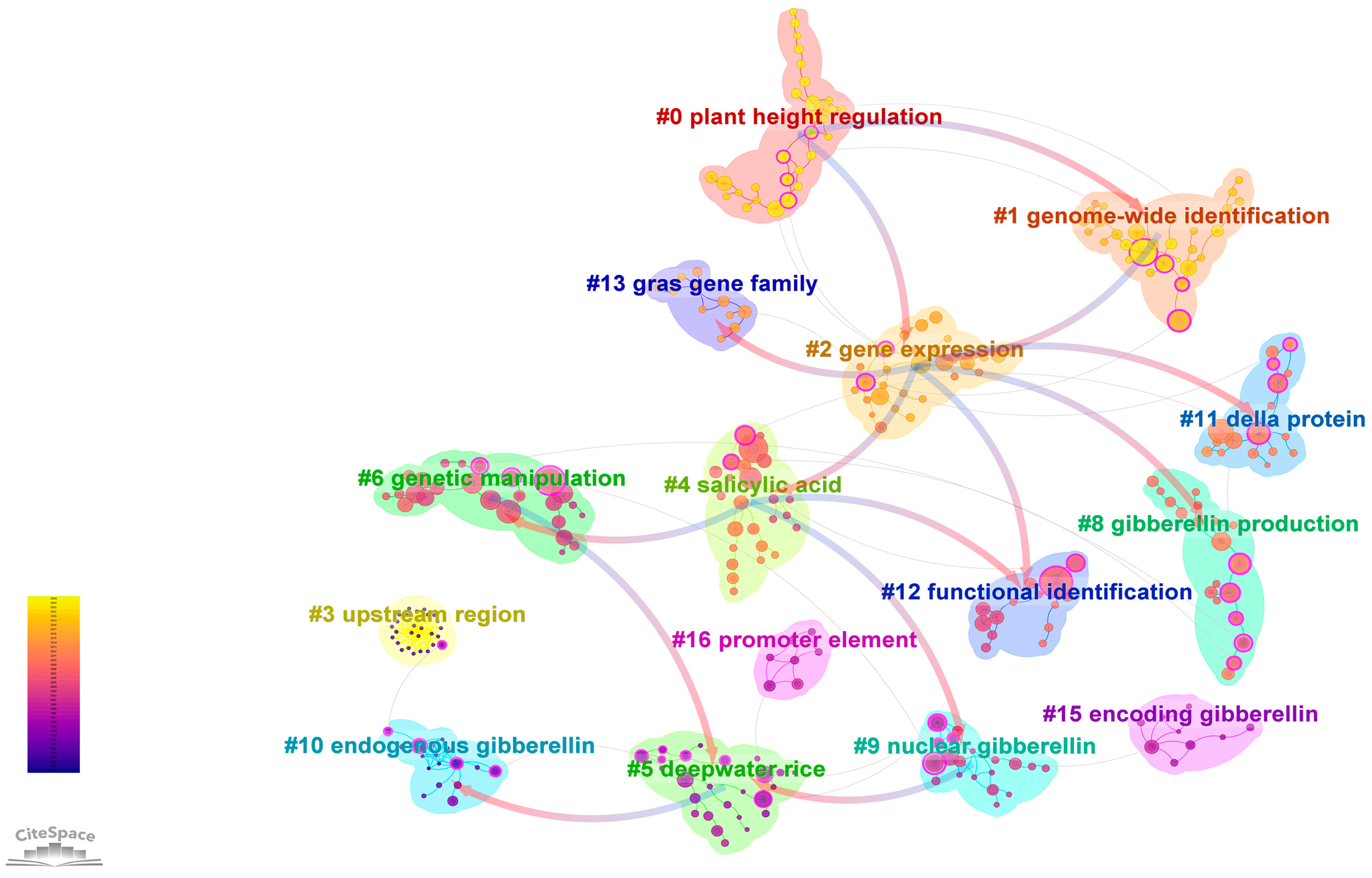 Plants 13 01548 g011