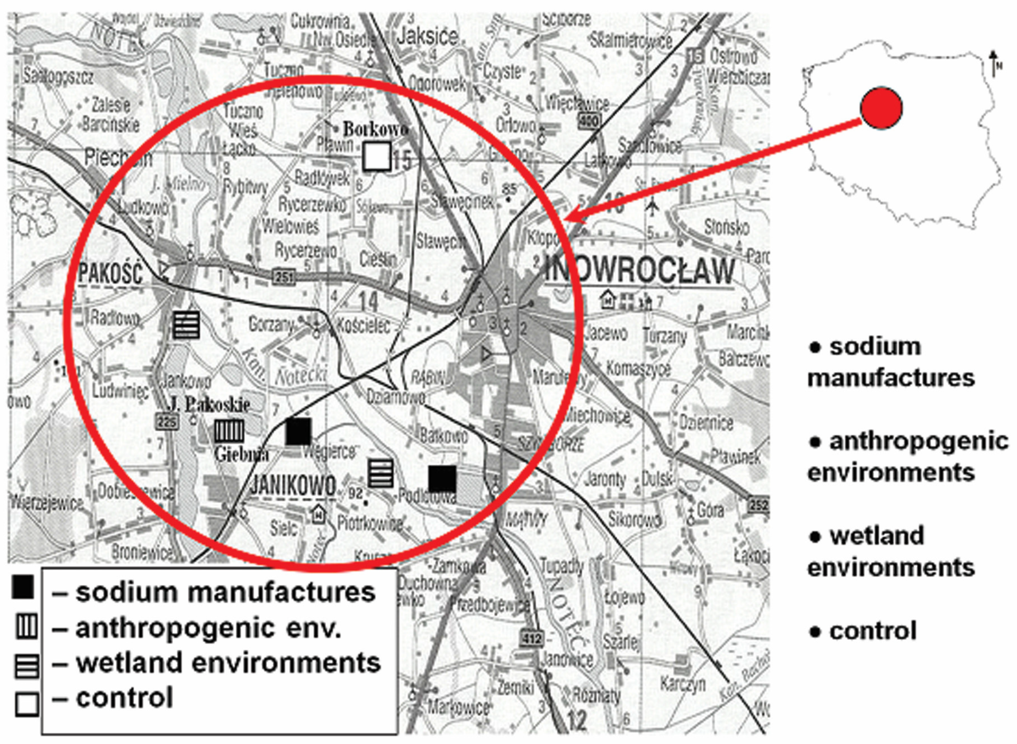 Plants 13 01550 g001
