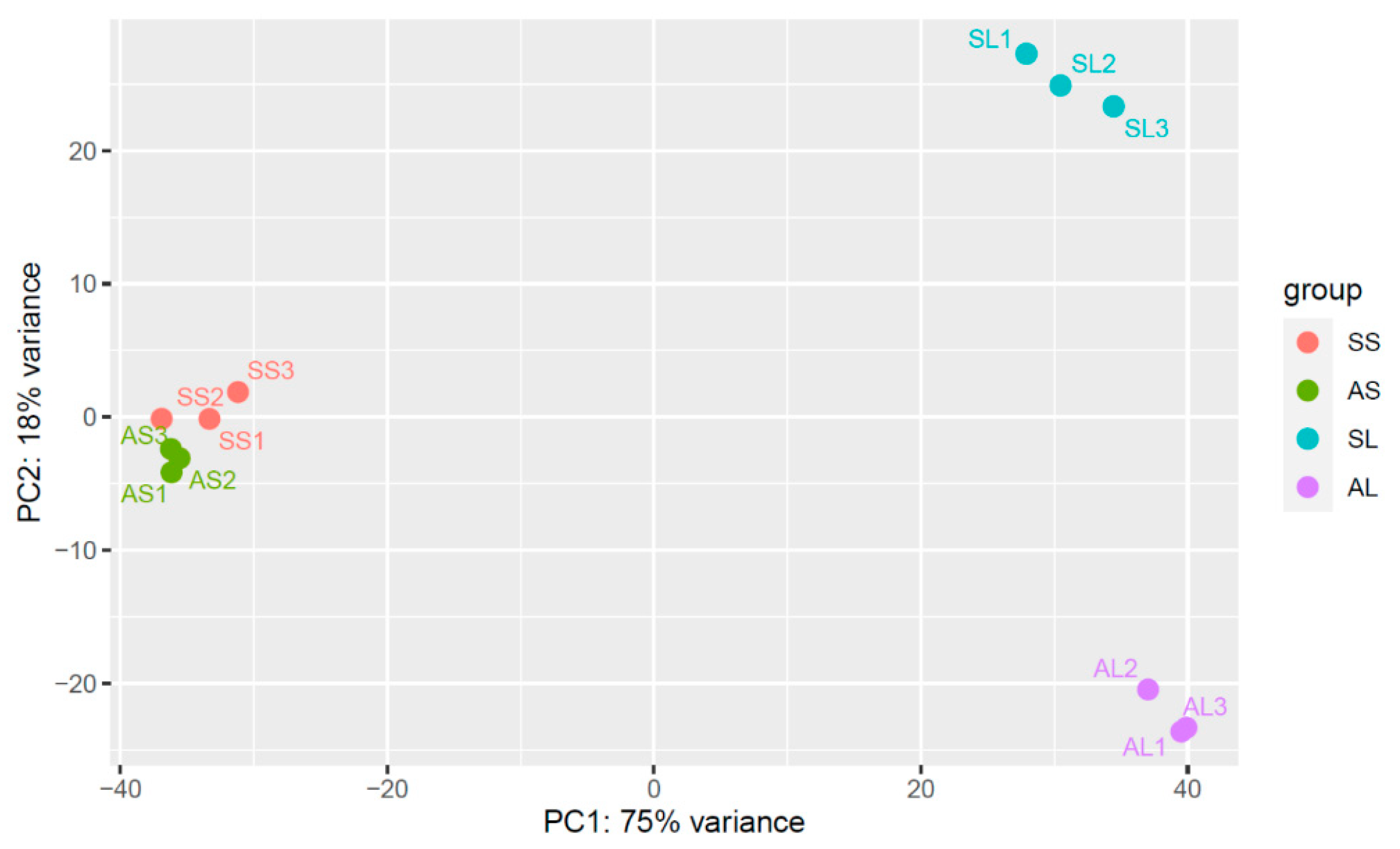 Plants 13 01551 g001