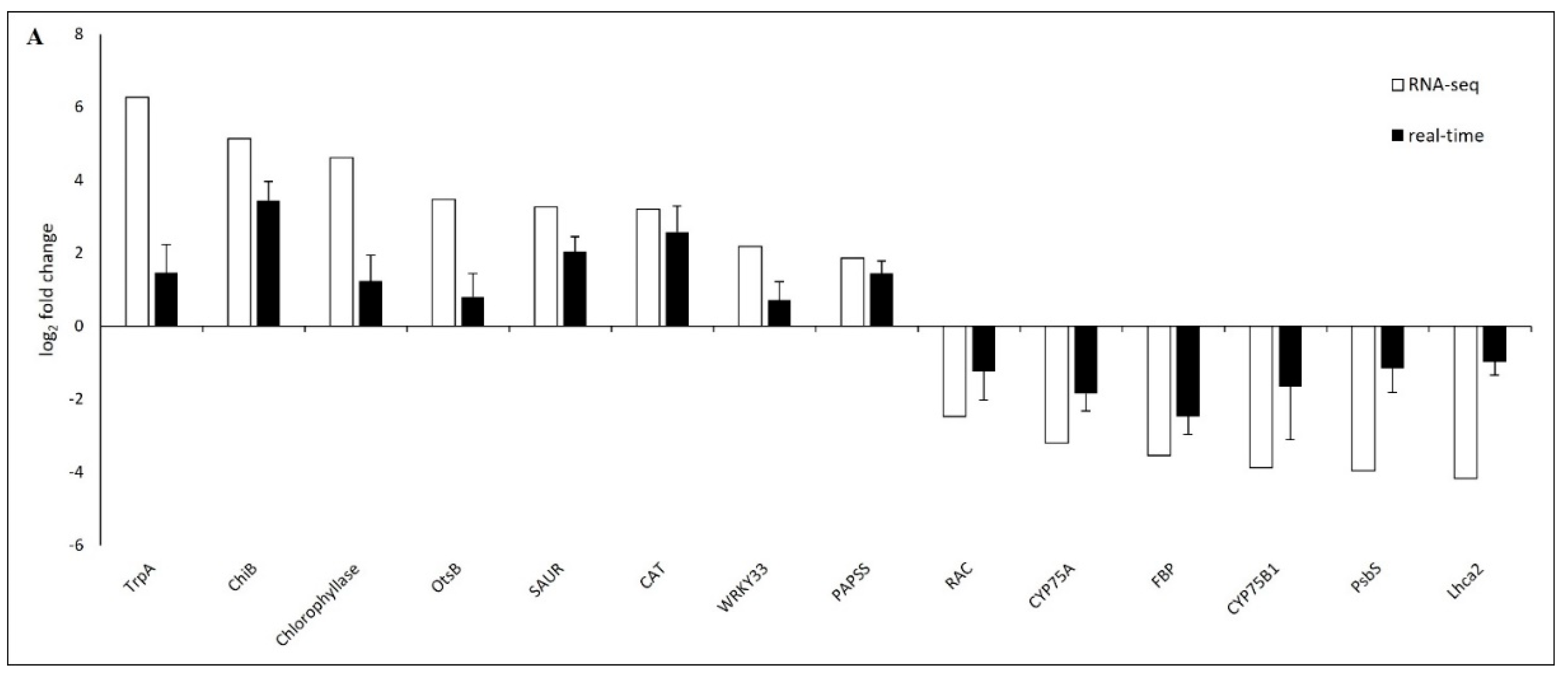 Plants 13 01551 g007a