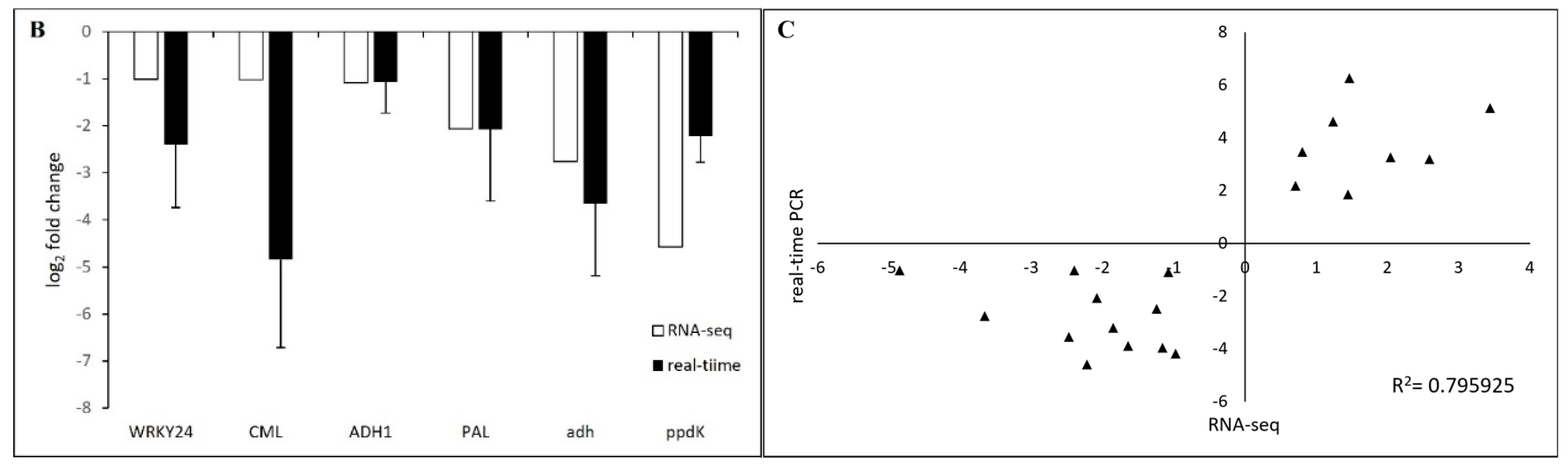 Plants 13 01551 g007b