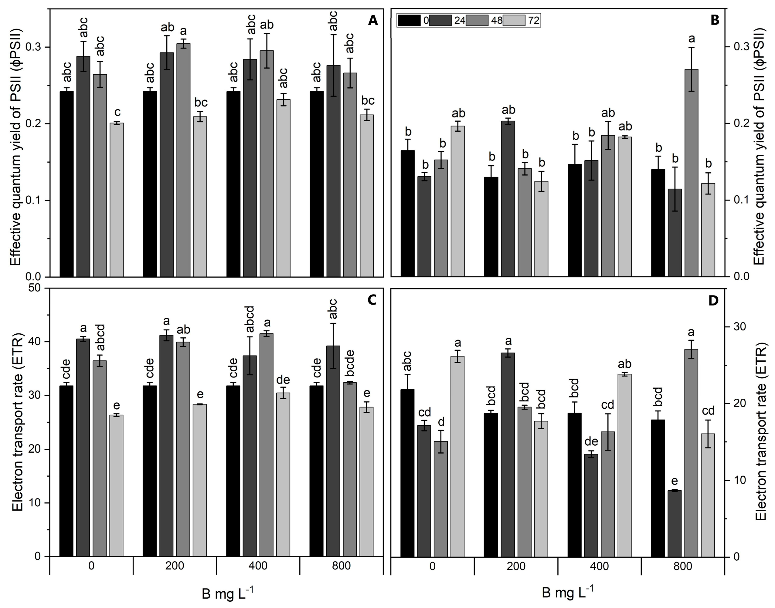 Plants 13 01553 g002