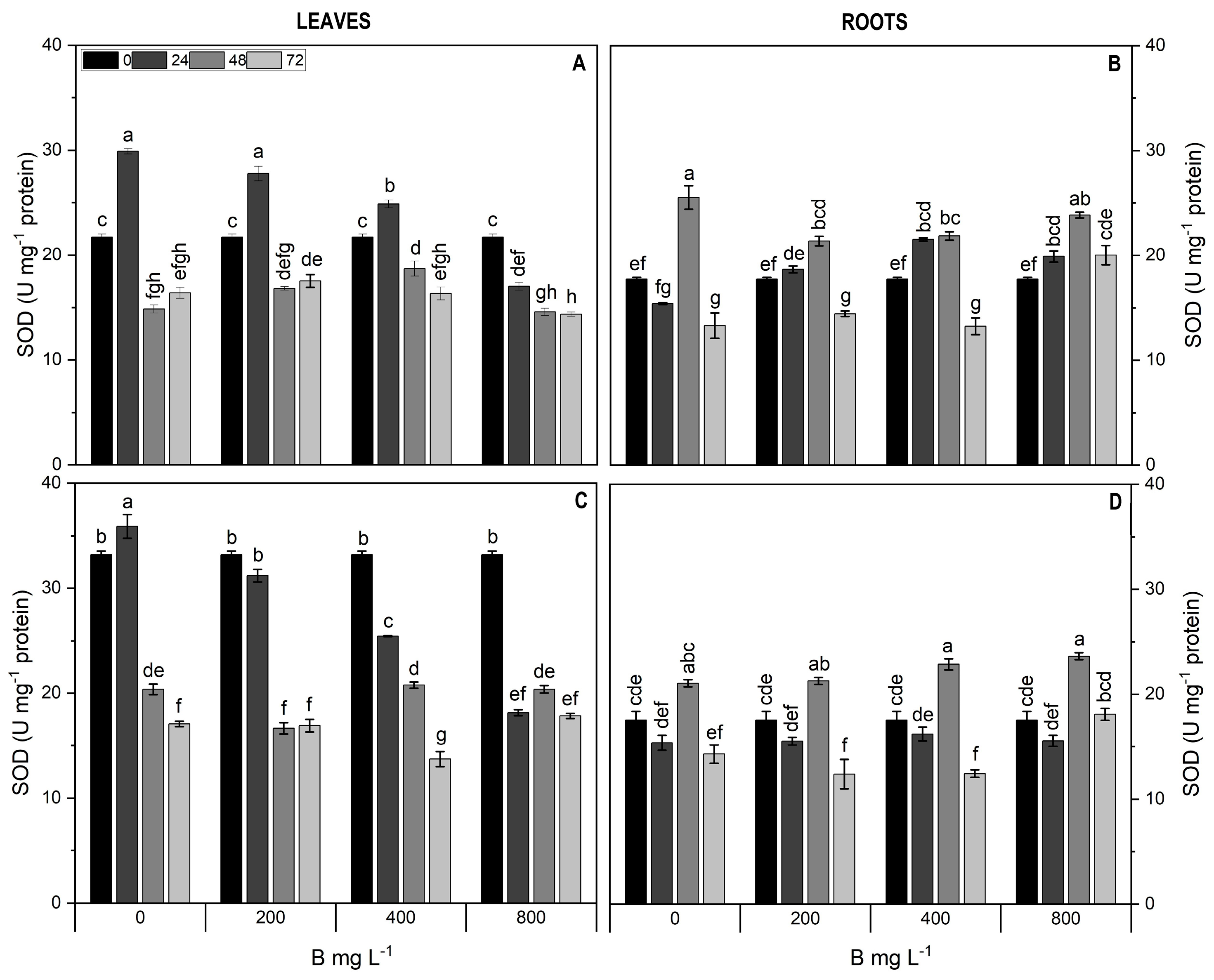 Plants 13 01553 g008