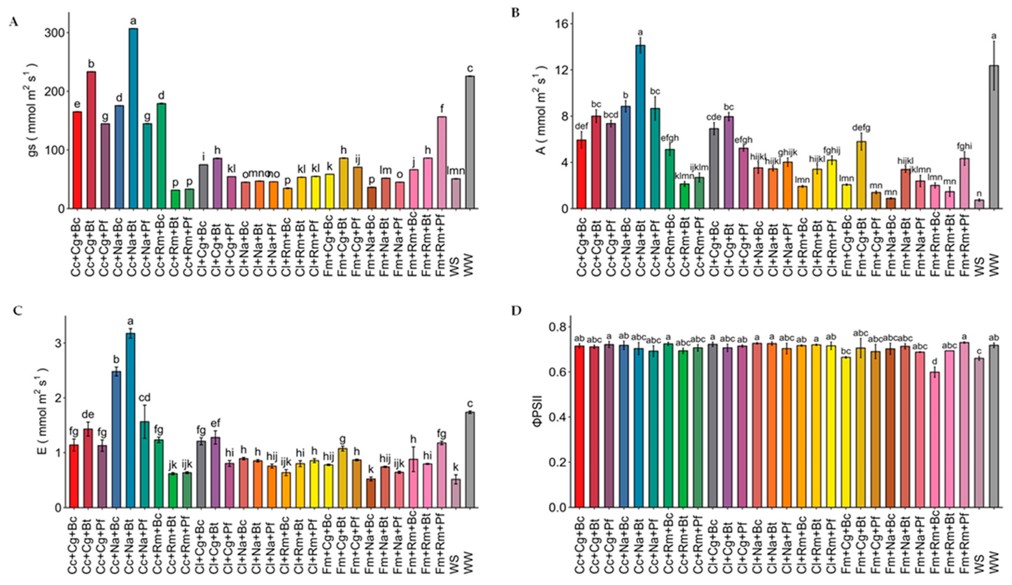 Plants 13 01556 g002