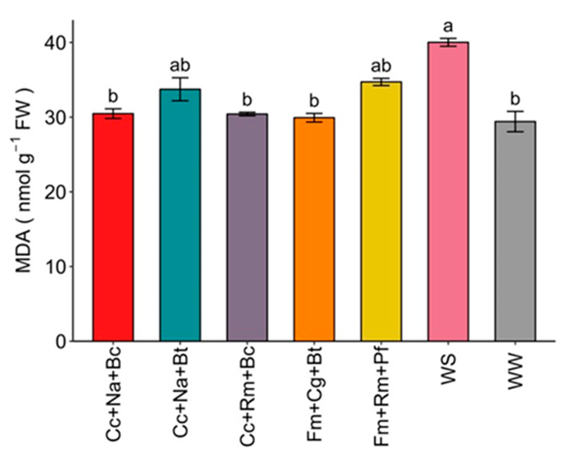 Plants 13 01556 g005