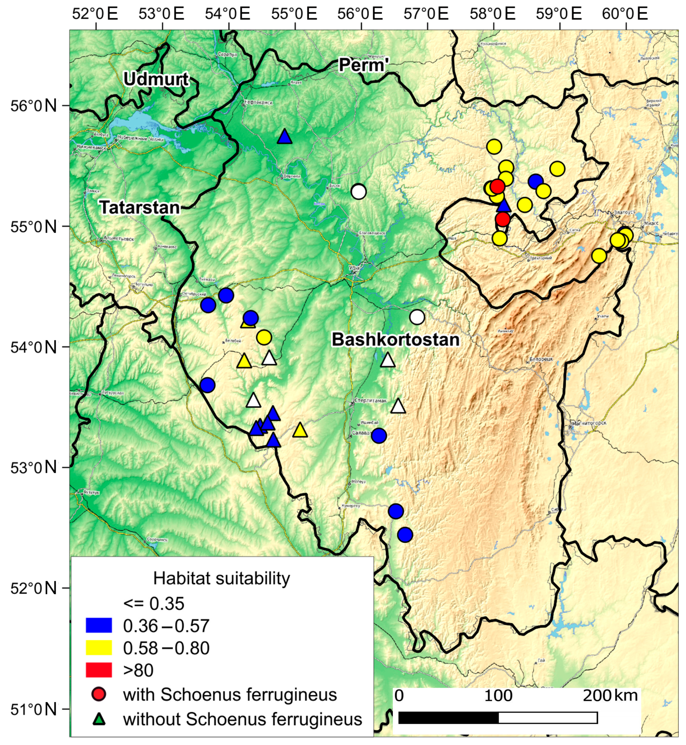 Plants 13 01563 g004