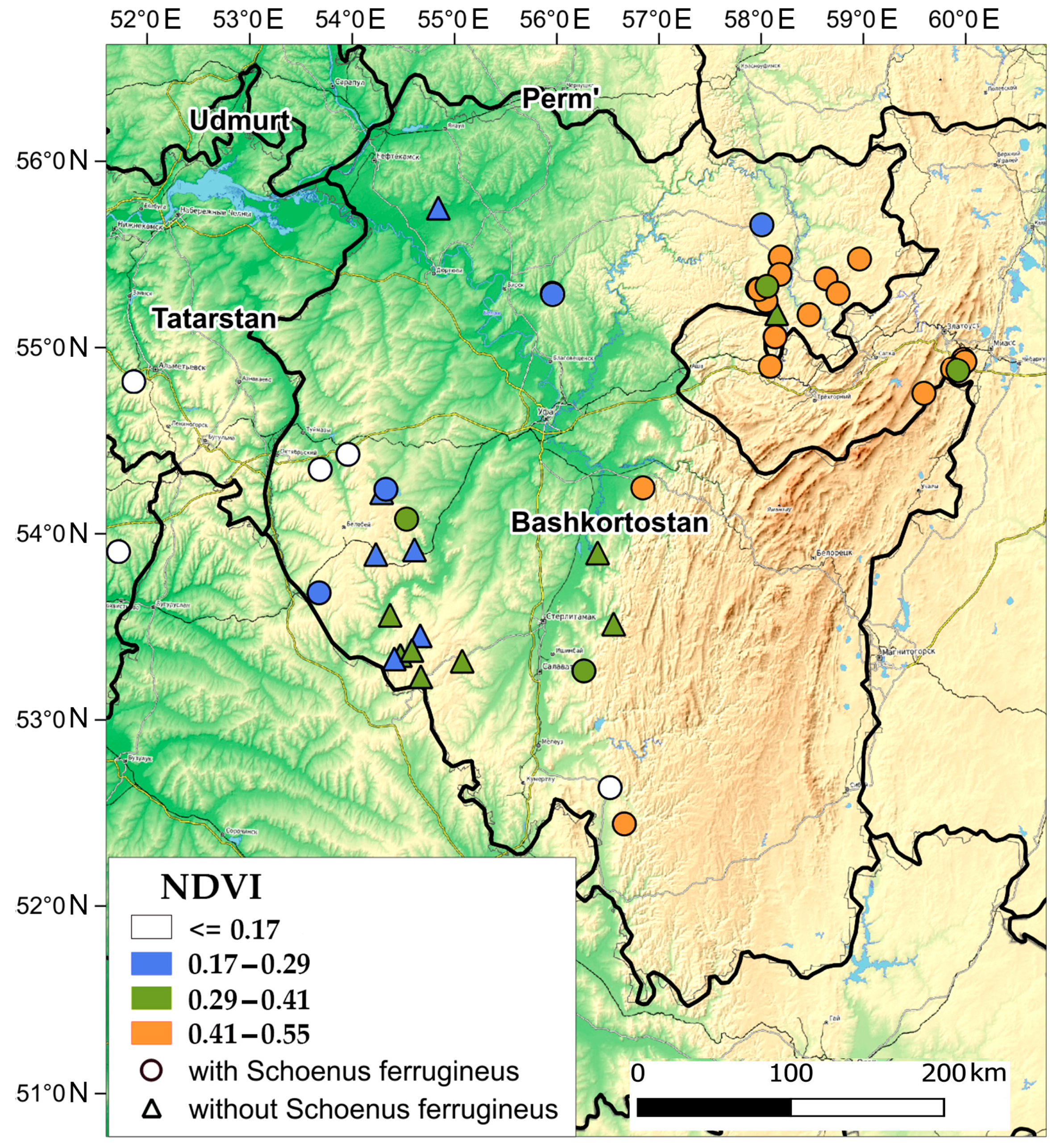 Plants 13 01563 g006