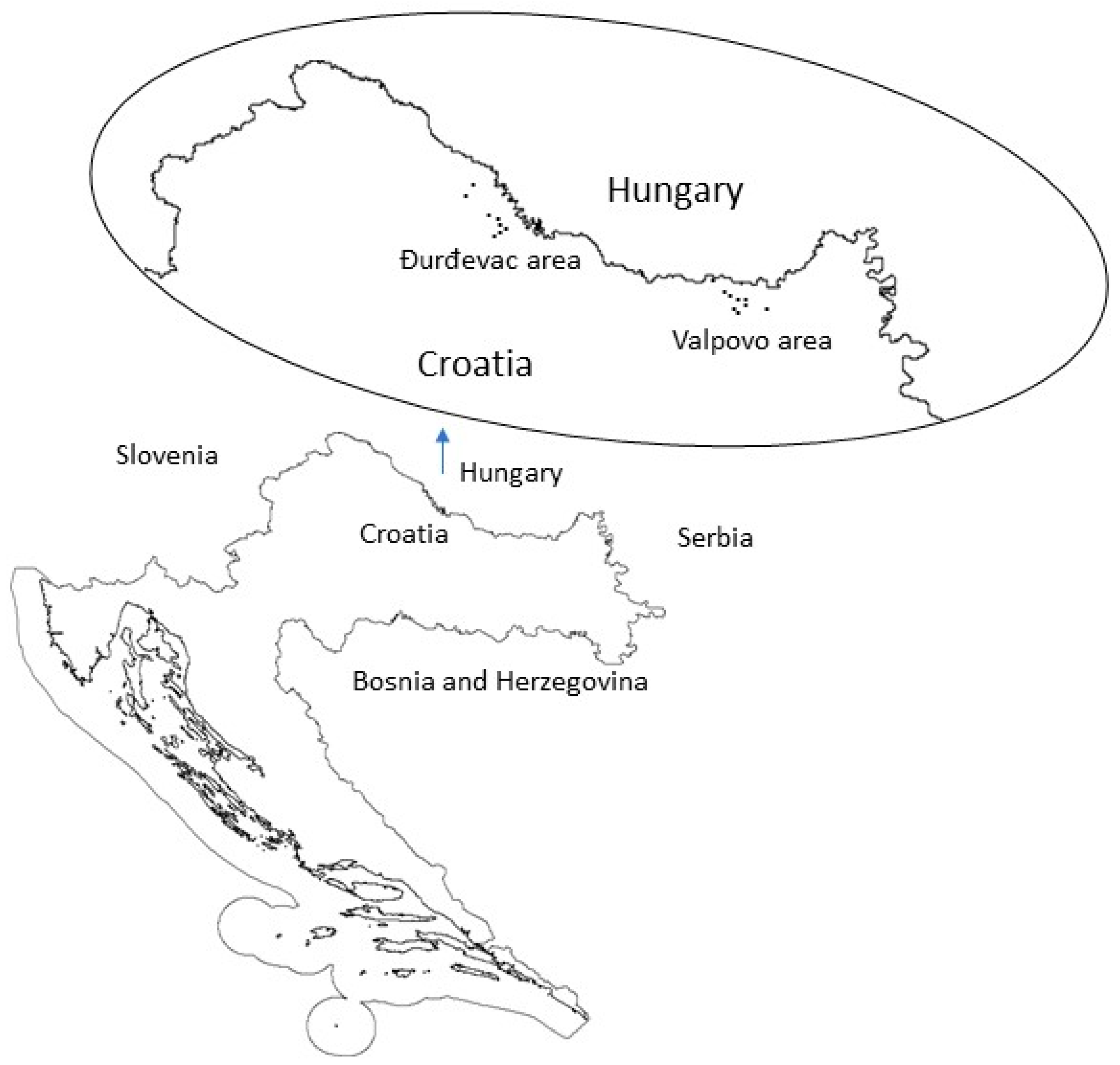 Plants 13 01566 g003 Plants 13 01566 g003