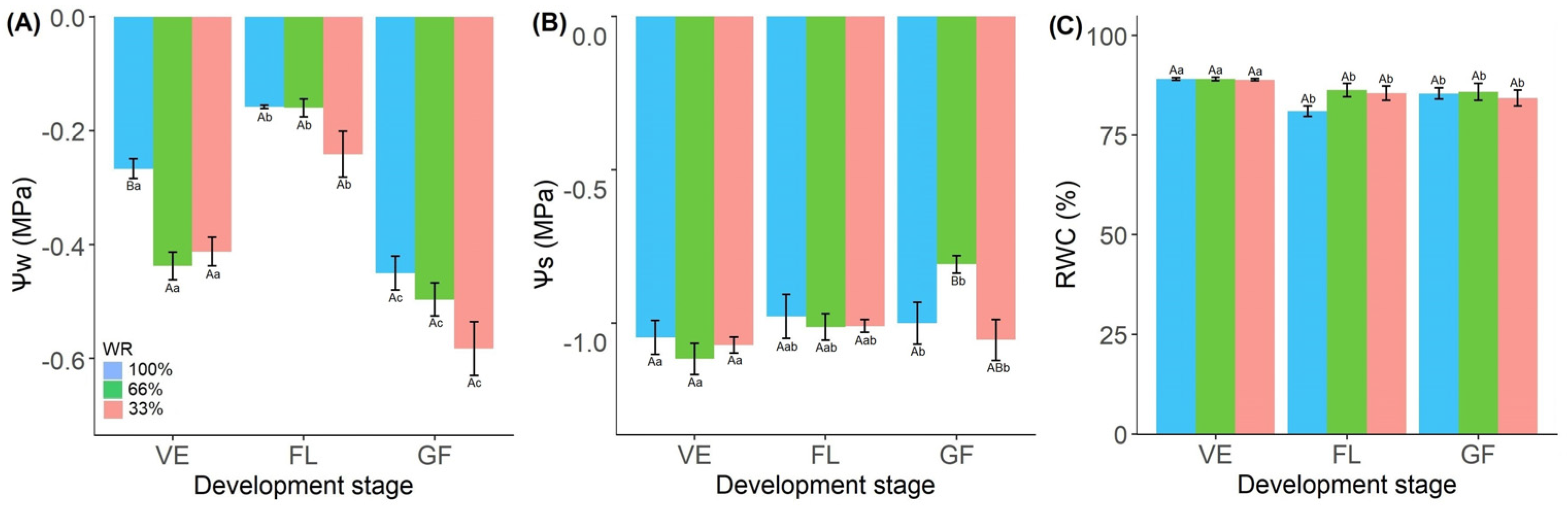 Plants 13 01583 g001