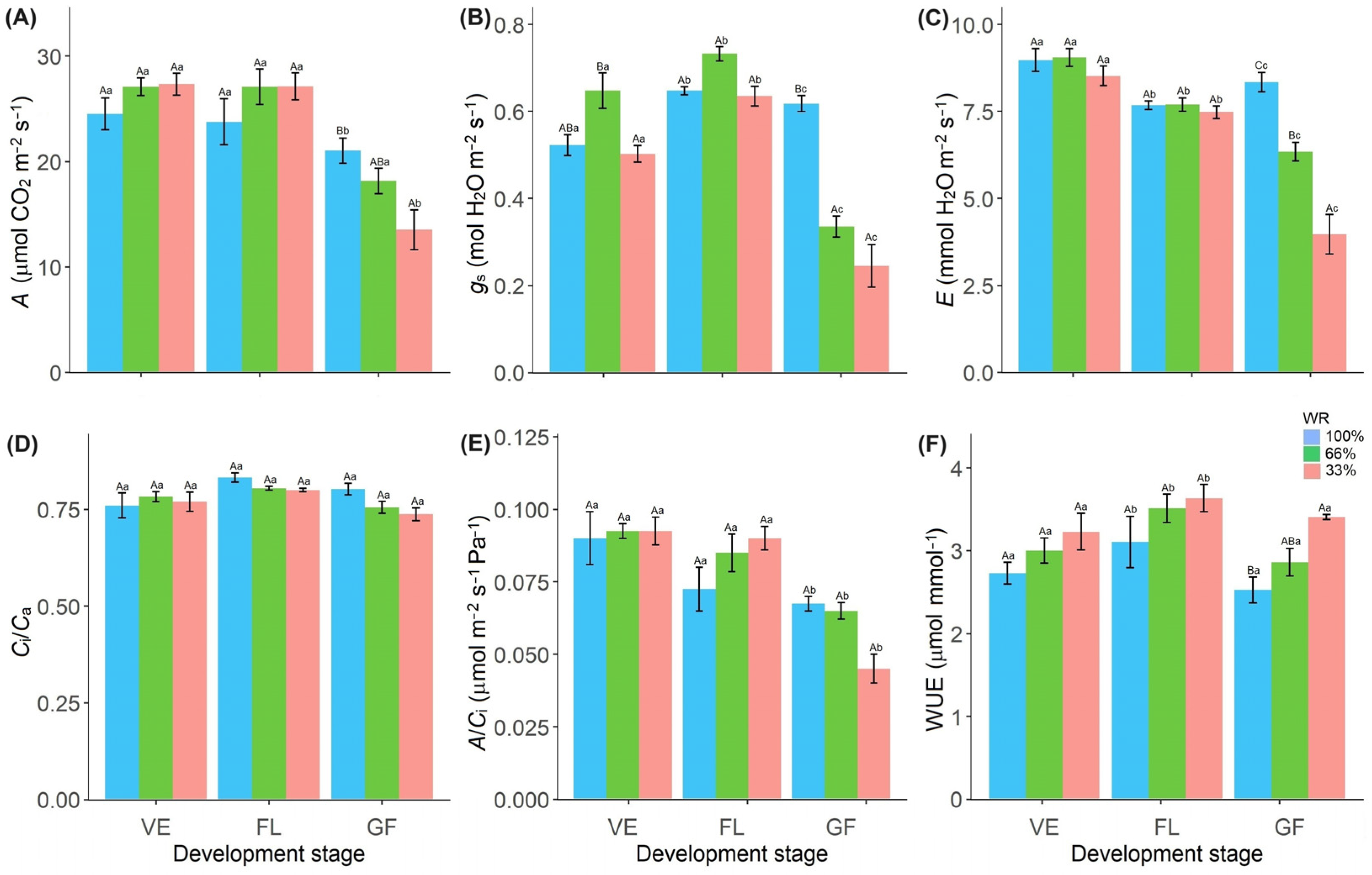 Plants 13 01583 g002