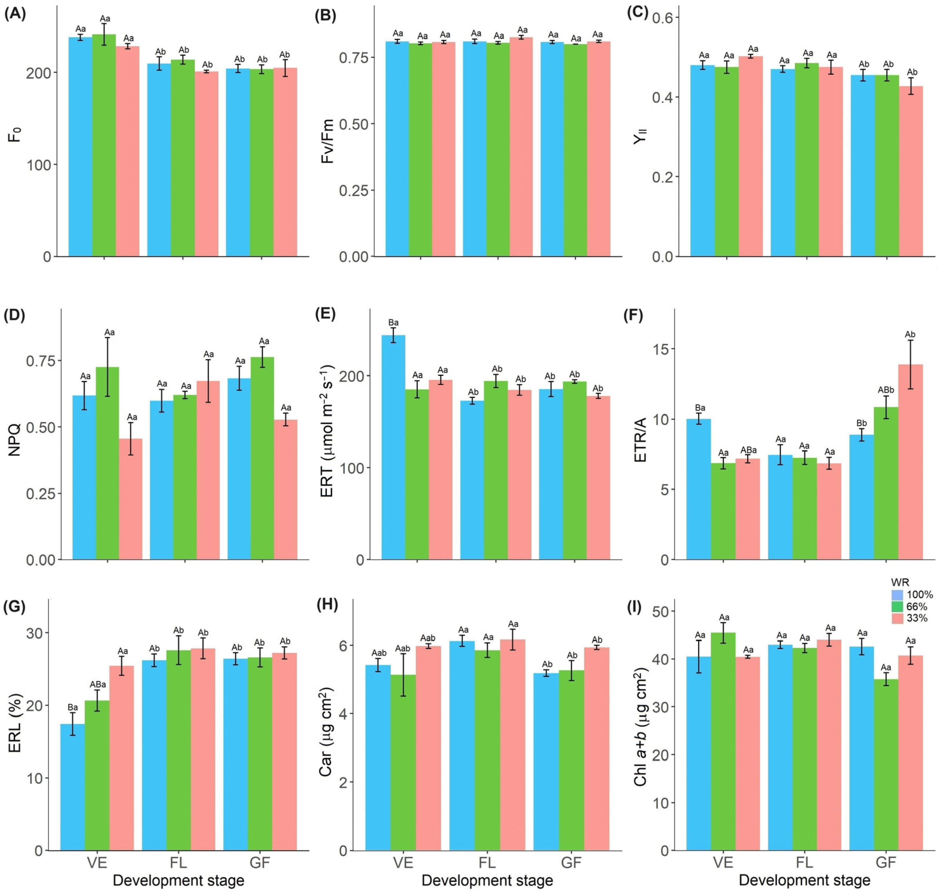 Plants 13 01583 g003