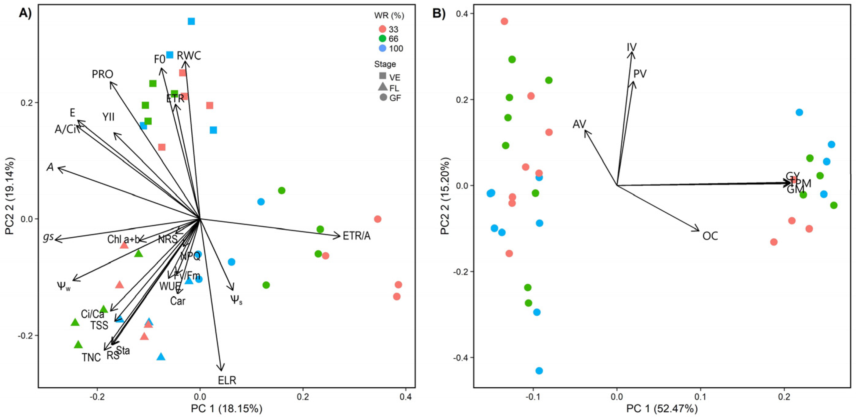 Plants 13 01583 g006