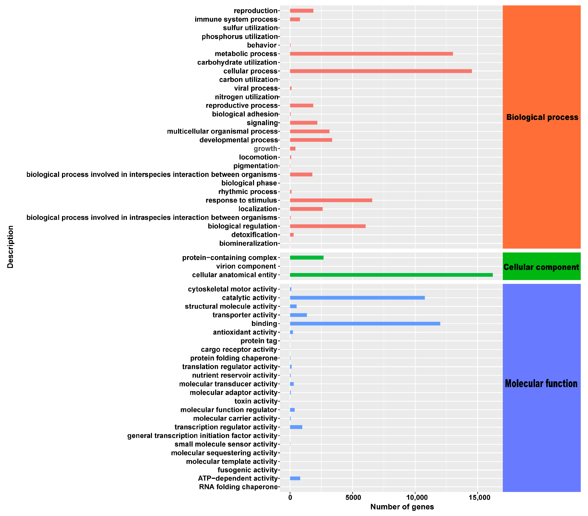 Plants 13 01588 g006