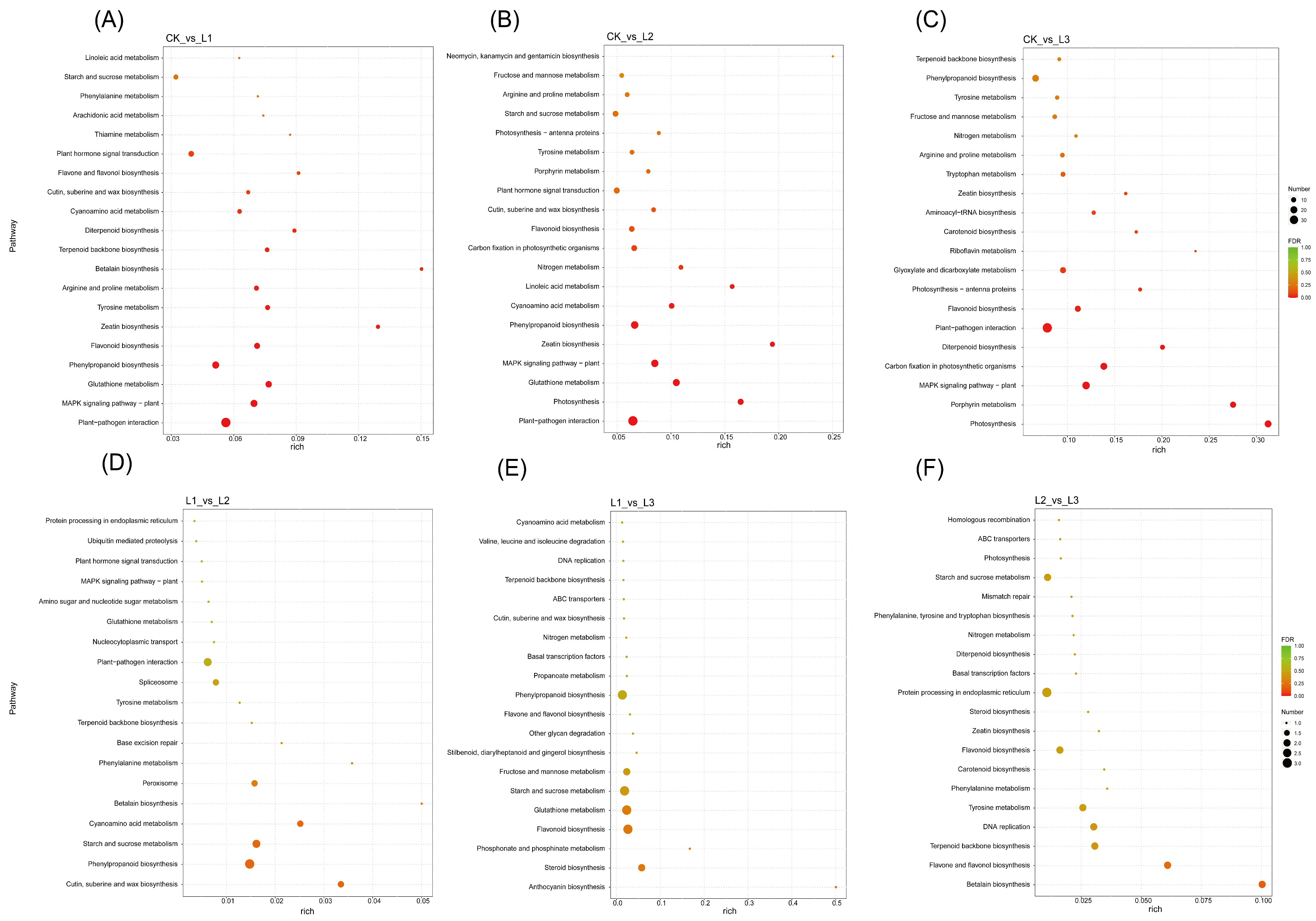 Plants 13 01588 g008