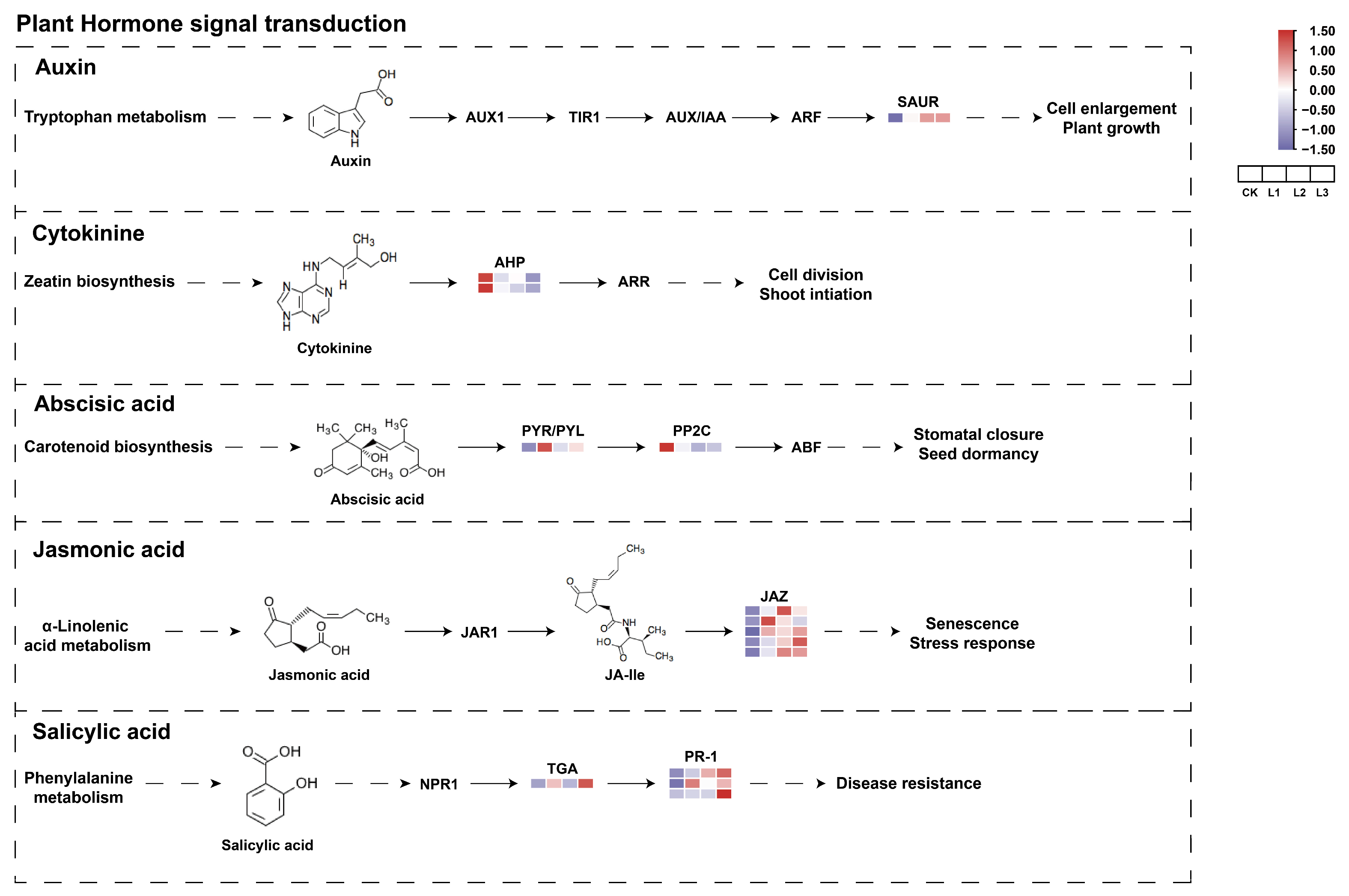 Plants 13 01588 g010