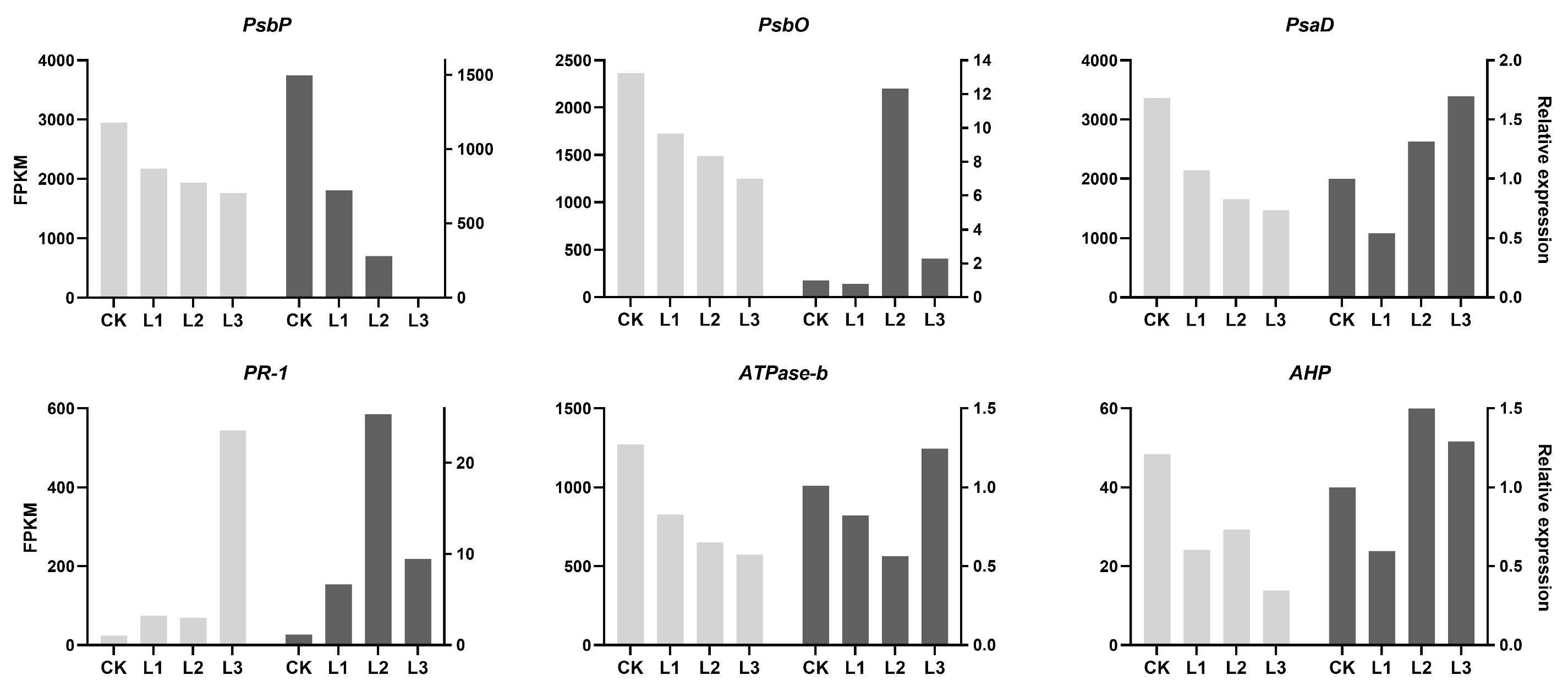 Plants 13 01588 g011