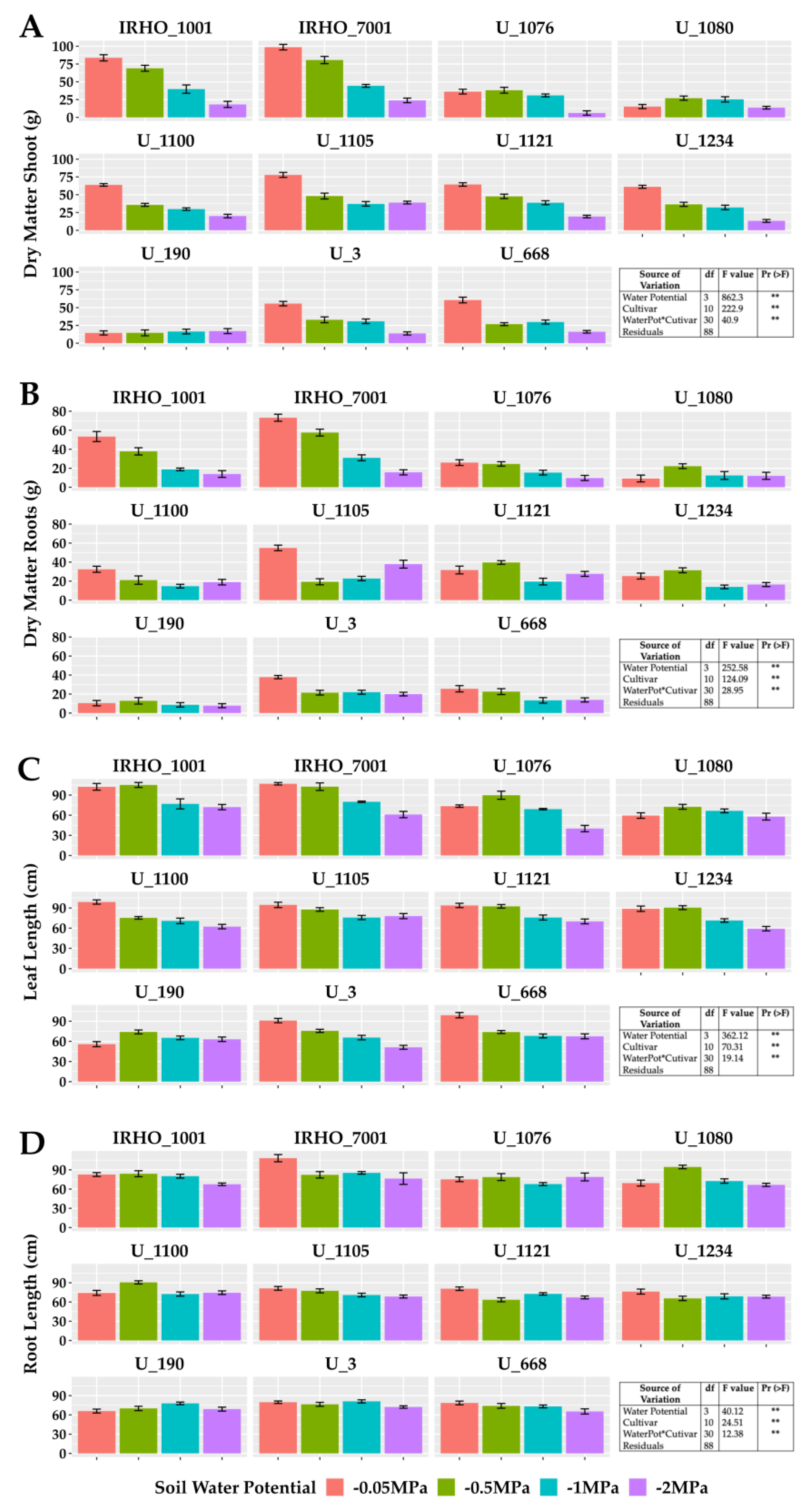 Plants 13 01598 g001
