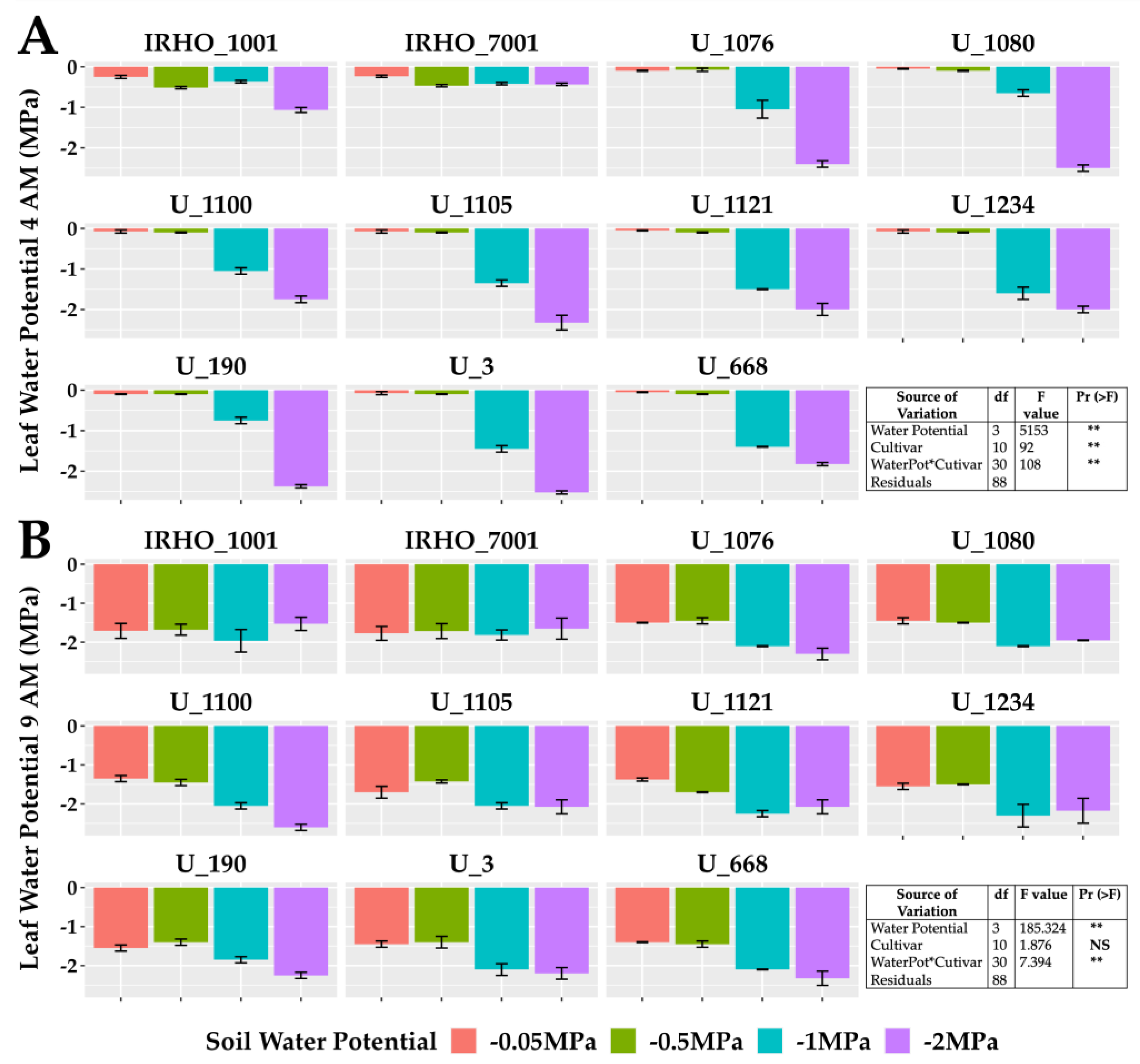 Plants 13 01598 g003